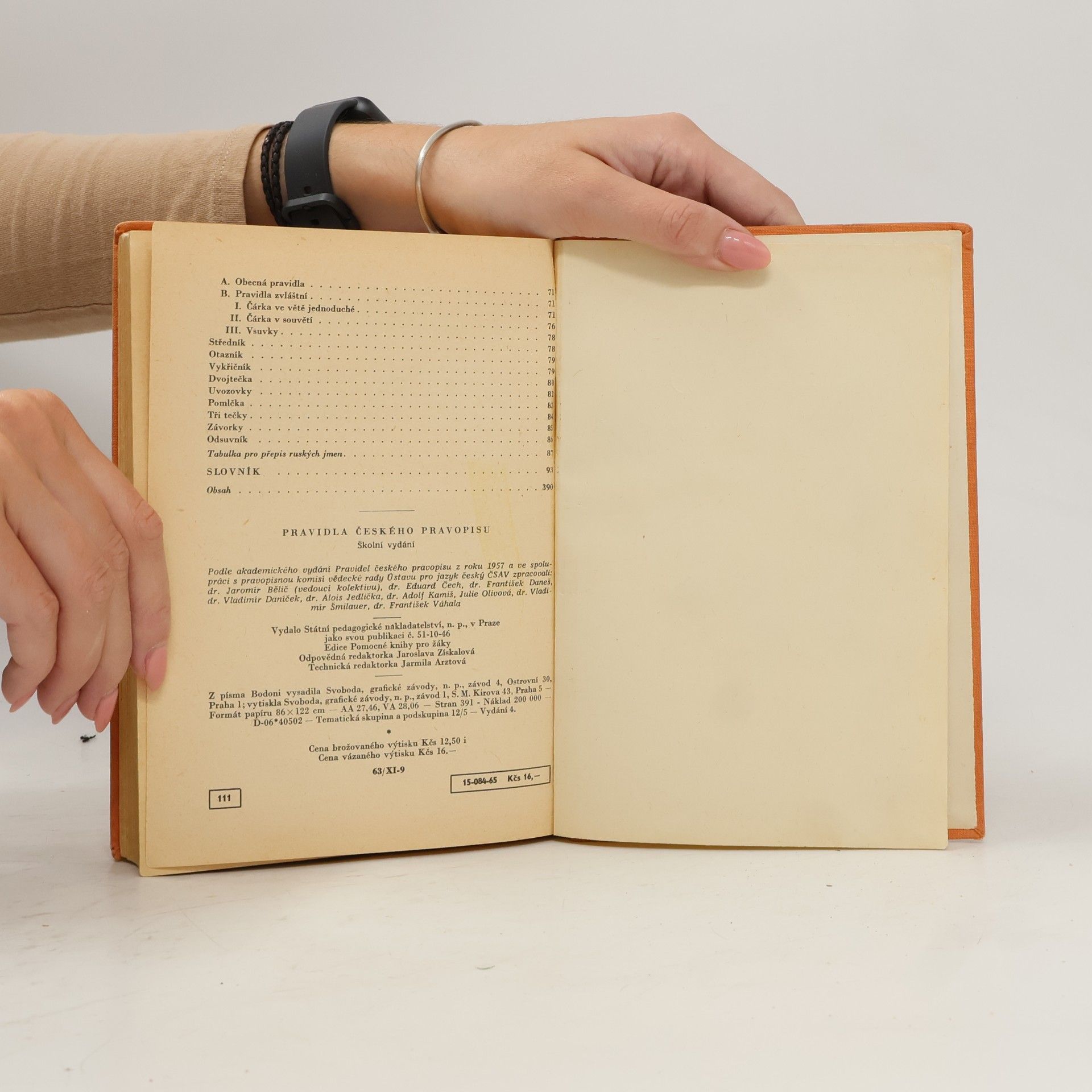 Autorenkollektiv Pravidla českého pravopisu