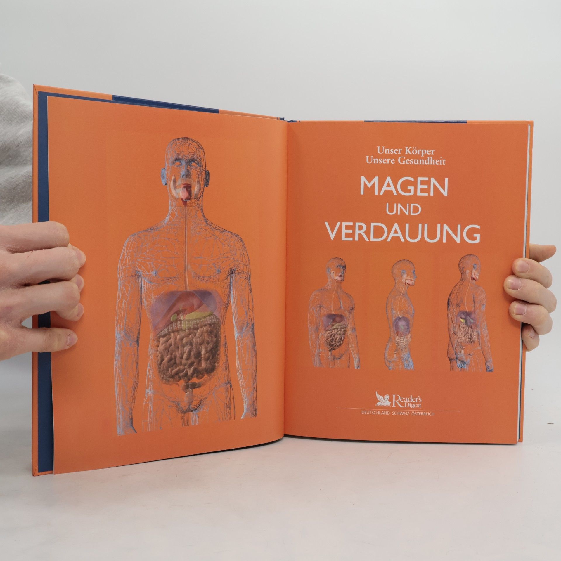 kolektiv Magen und Verdauung