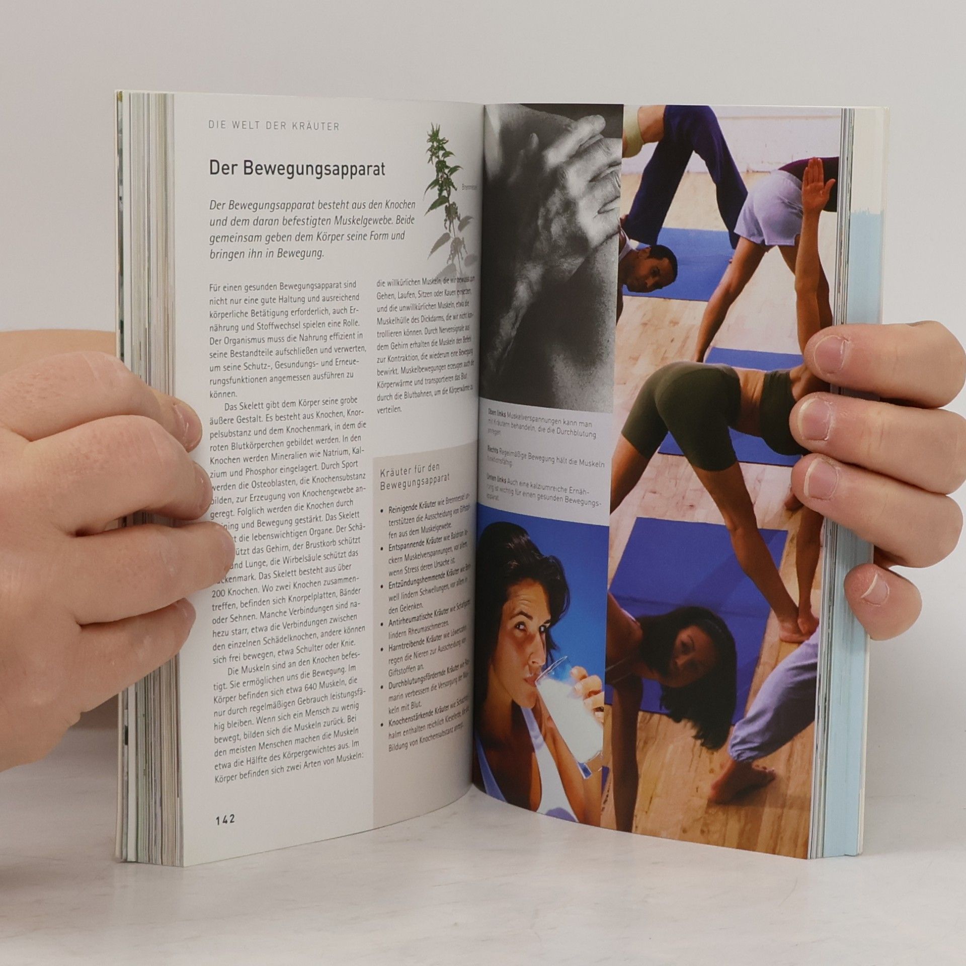Kolektiv autorů Kräuter - Anbau, Rezepte, medizinische Verwendung