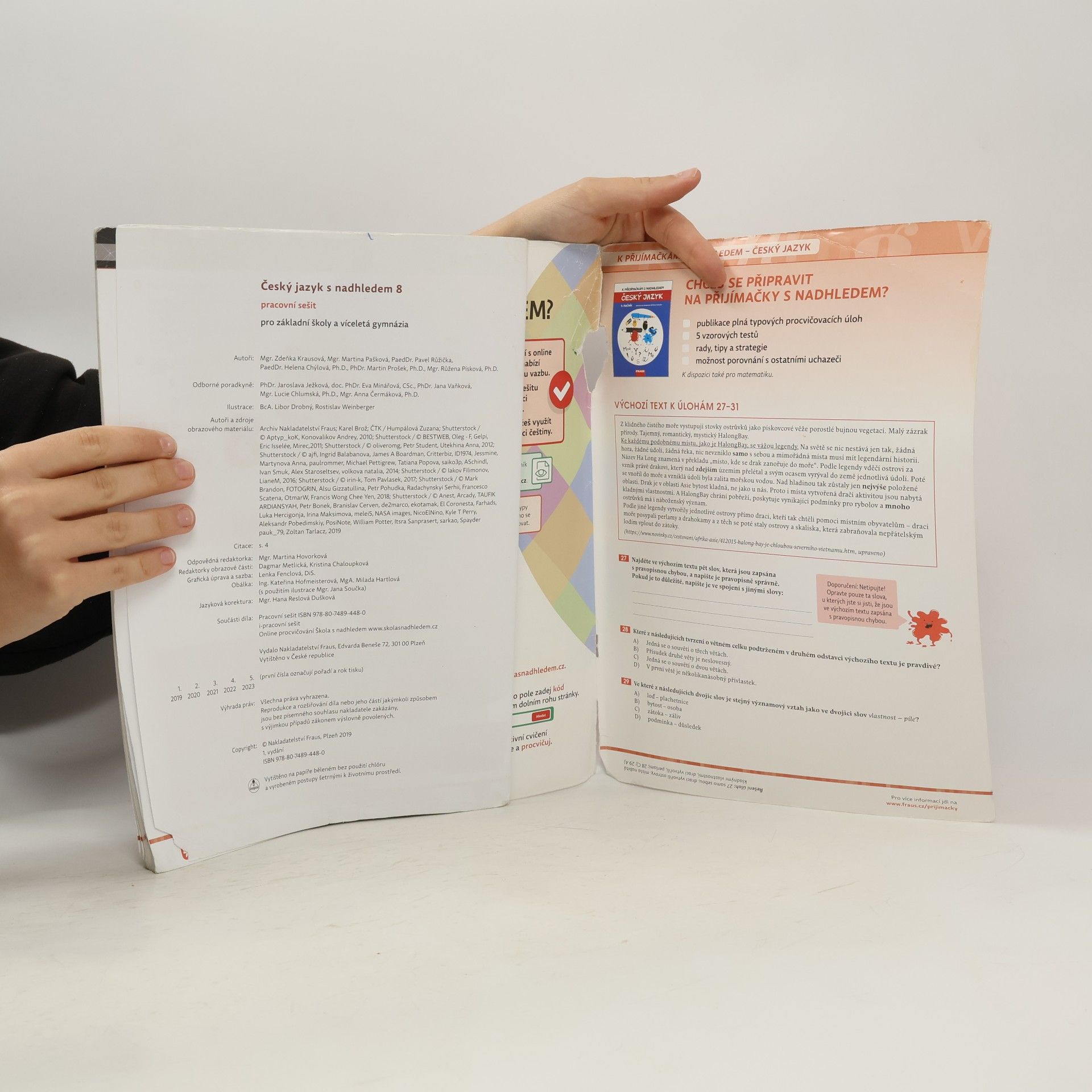 Autorenkollektiv Český jazyk 8 s nadhledem. Pracovní sešit
