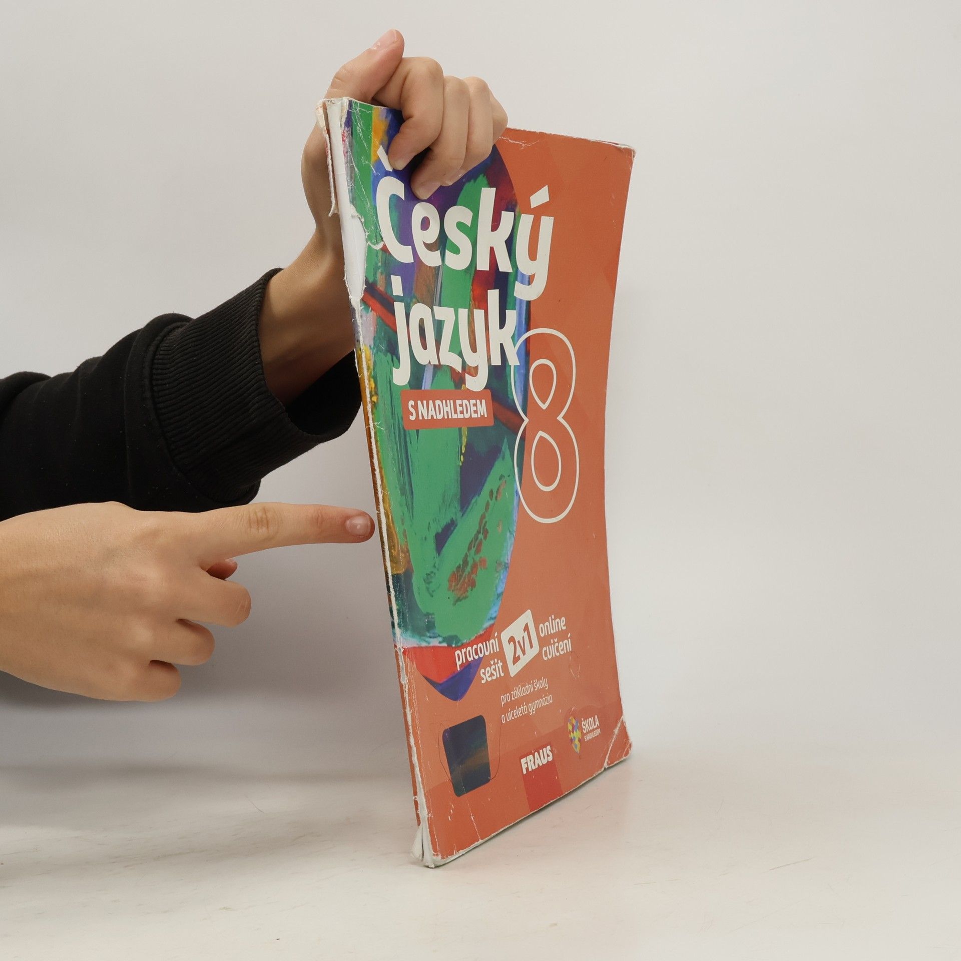 Autorenkollektiv Český jazyk 8 s nadhledem. Pracovní sešit