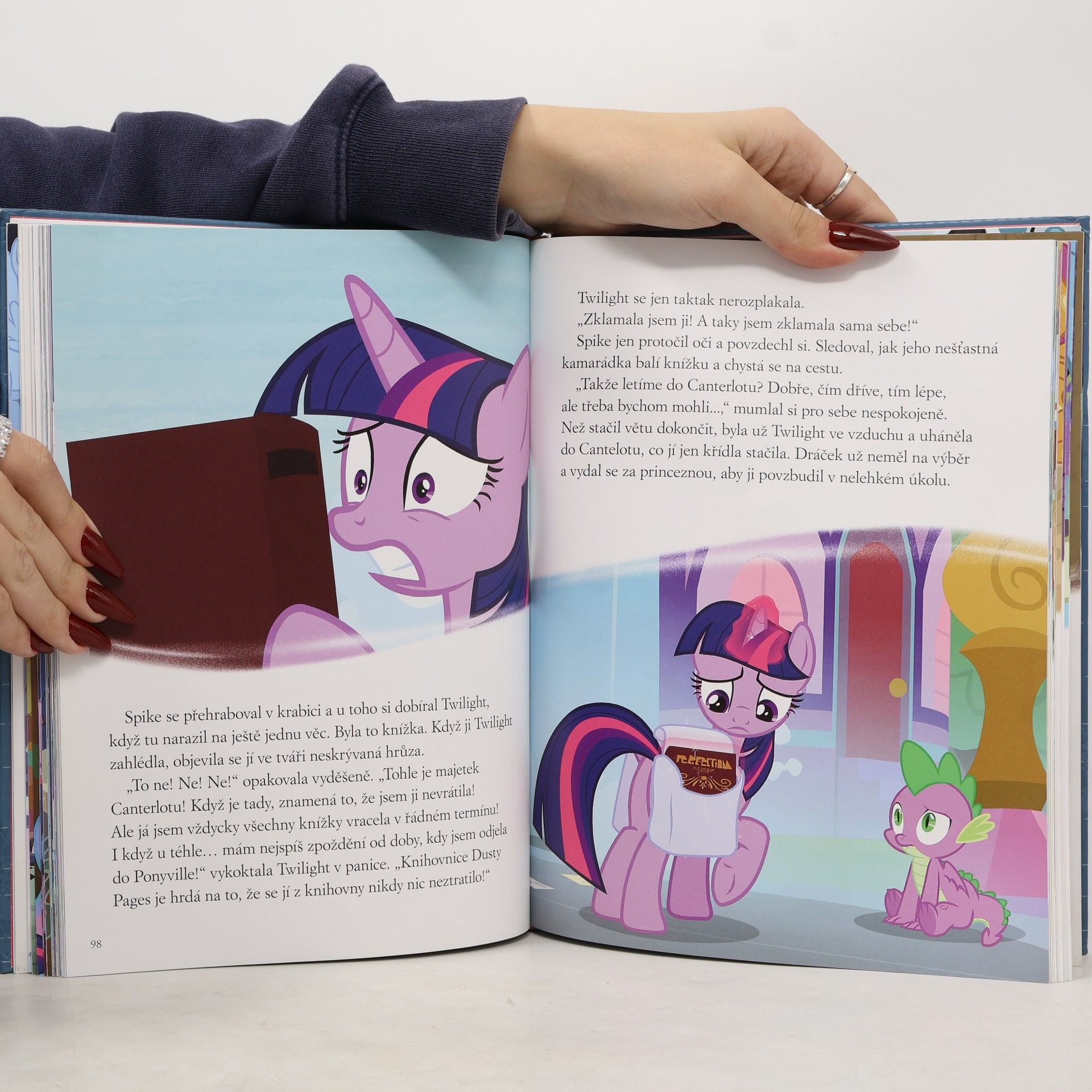 Autorenkollektiv Televizní příběhy. My Little Pony