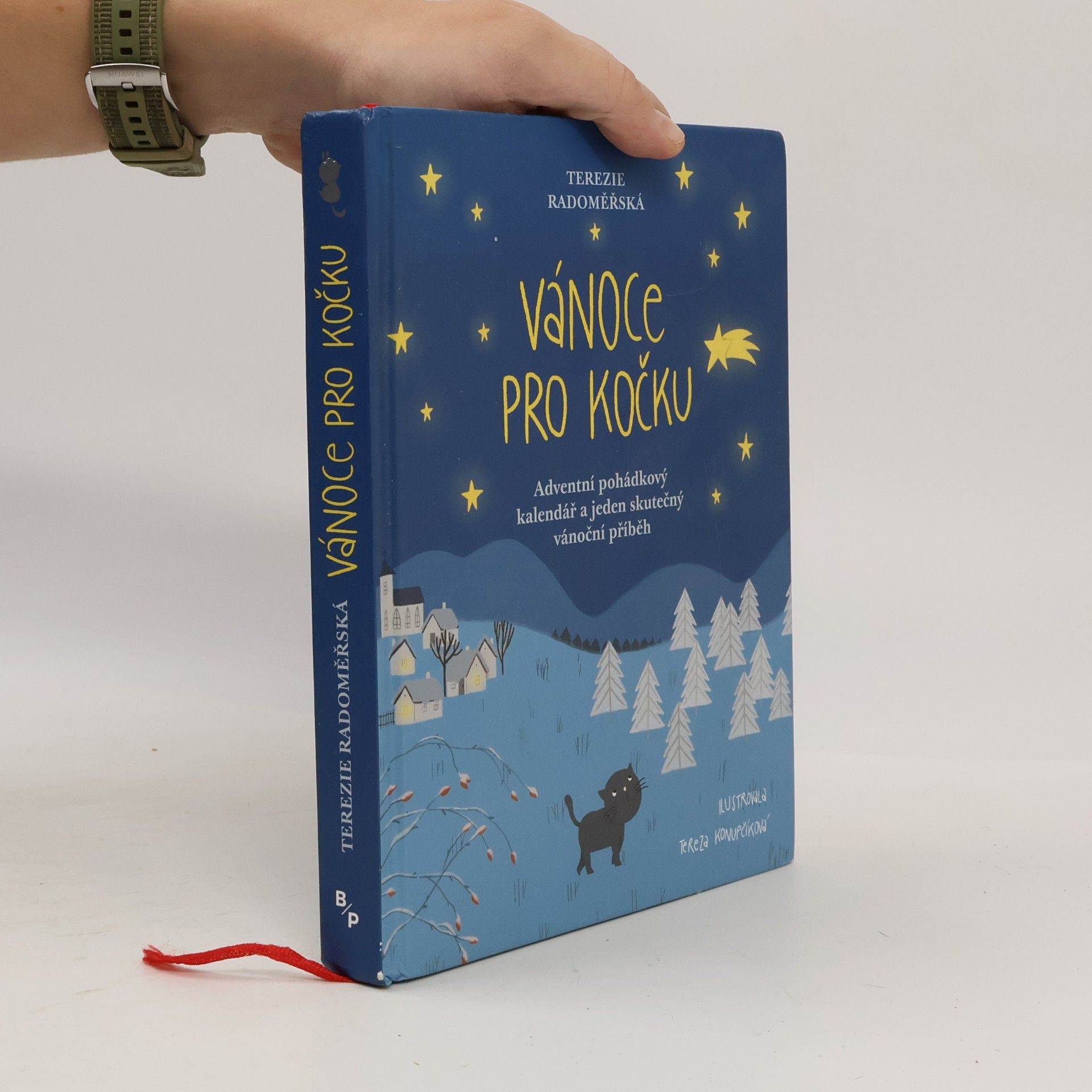 Terezie Radoměřská Vánoce pro kočku