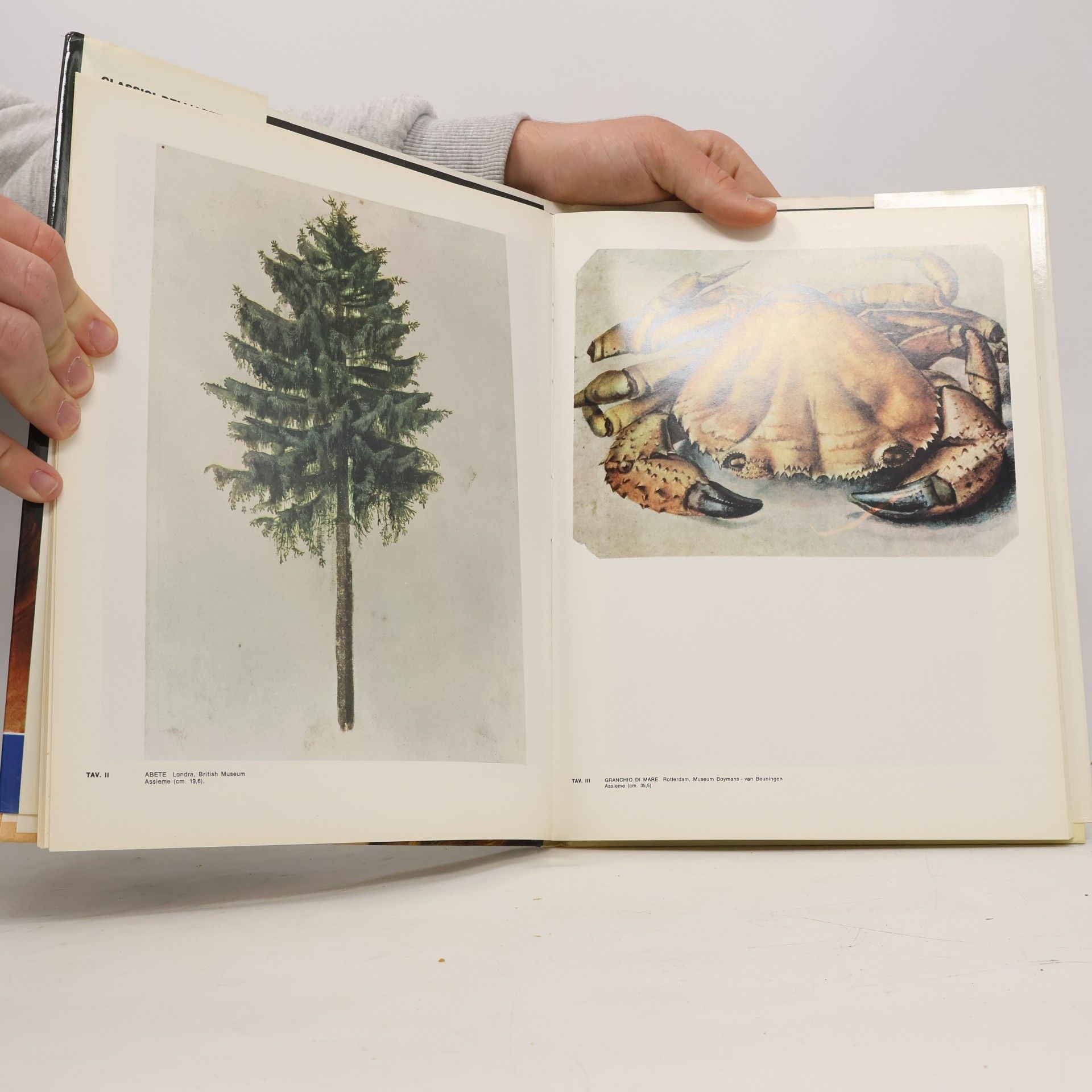 Autorenkollektiv L'opera completa di. Dürer