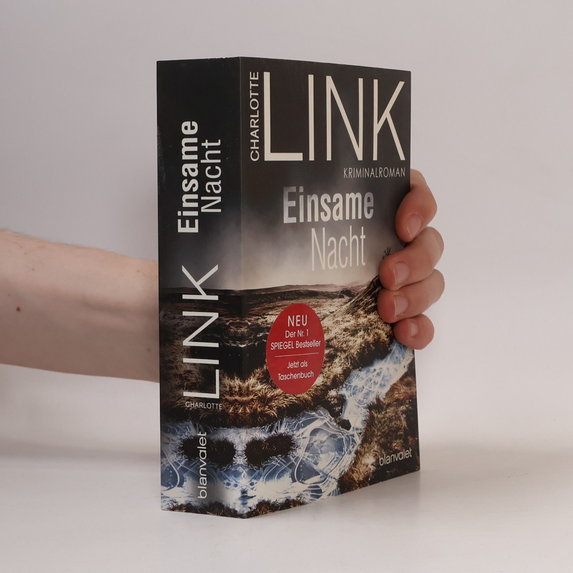Charlotte Link Einsame Nacht