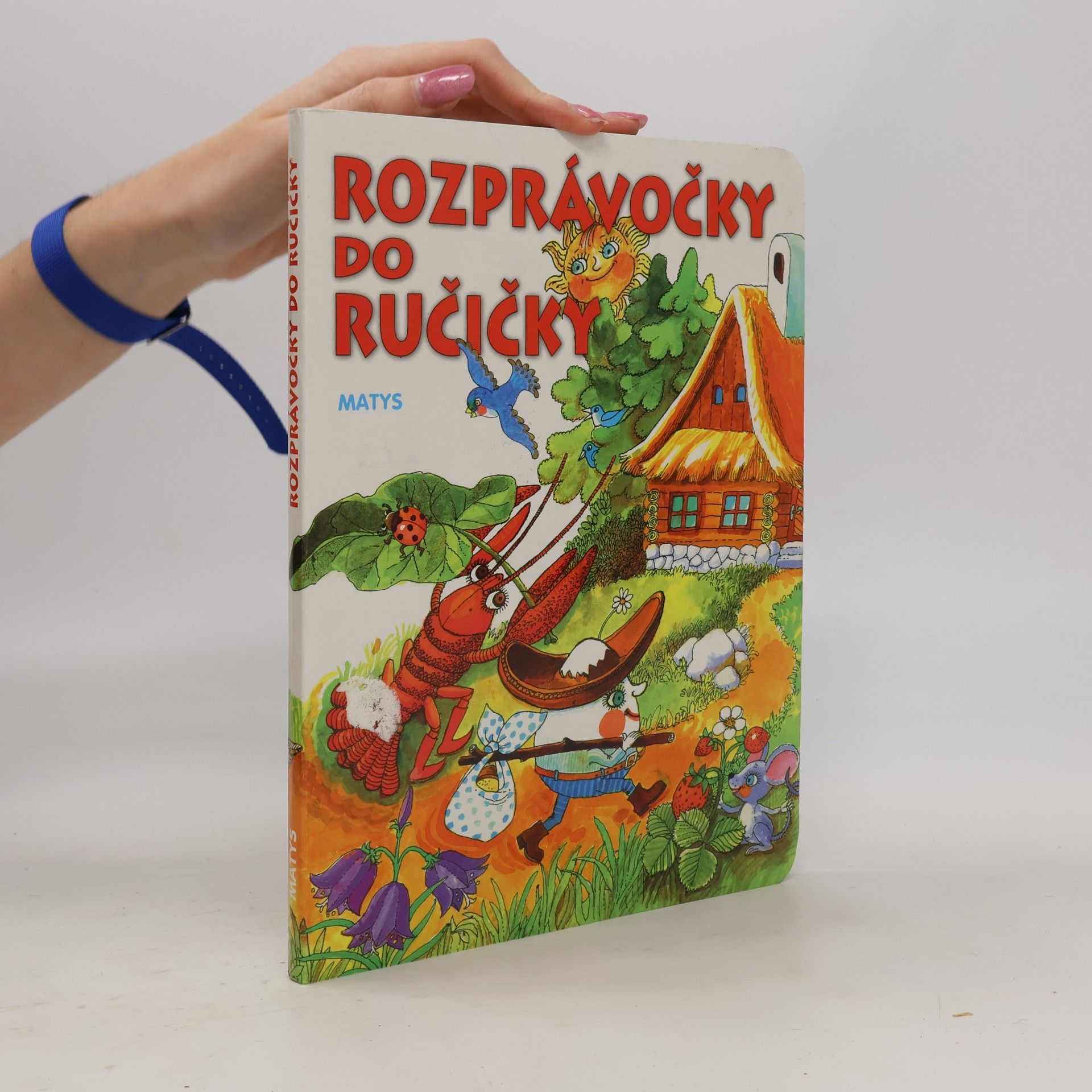 Autorenkollektiv Rozprávočky do ručičky