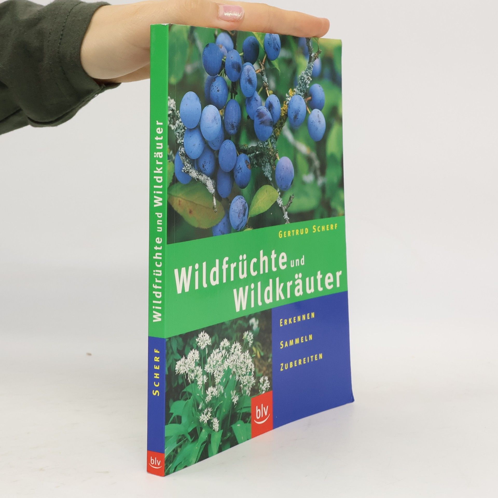 Wildfrüchte und Wildkräuter