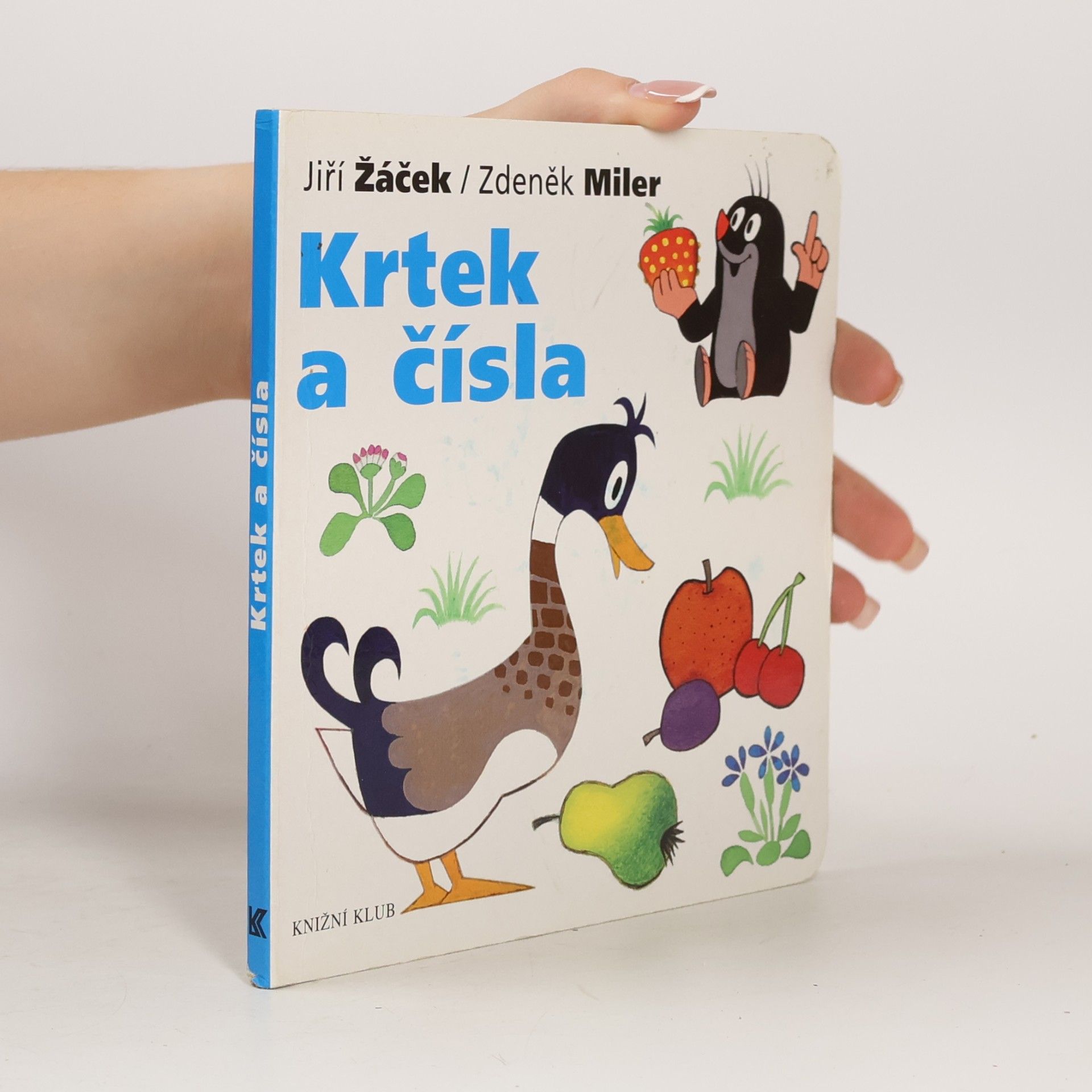 Krtek a čísla