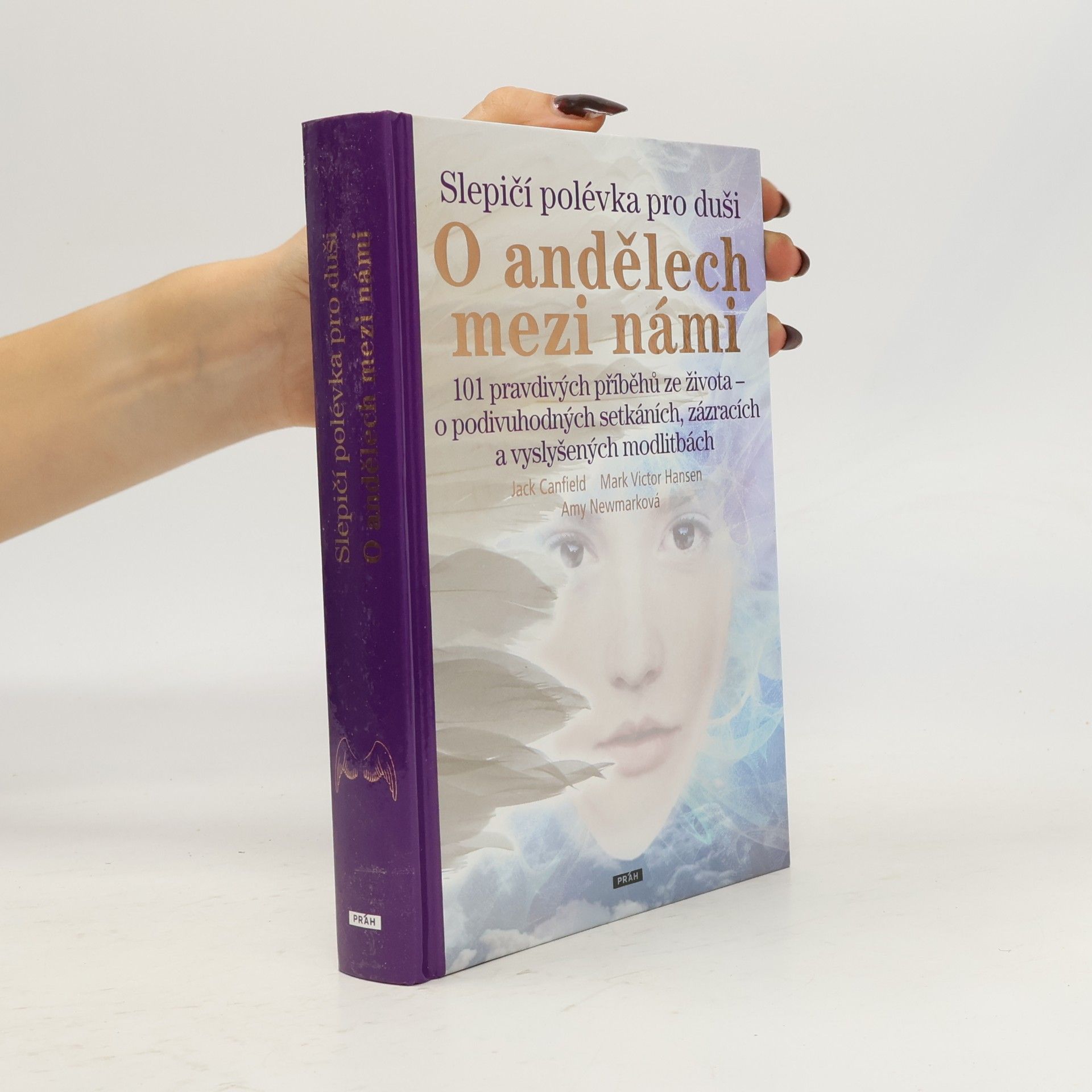 Slepičí polévka pro duši - o andělech mezi námi
