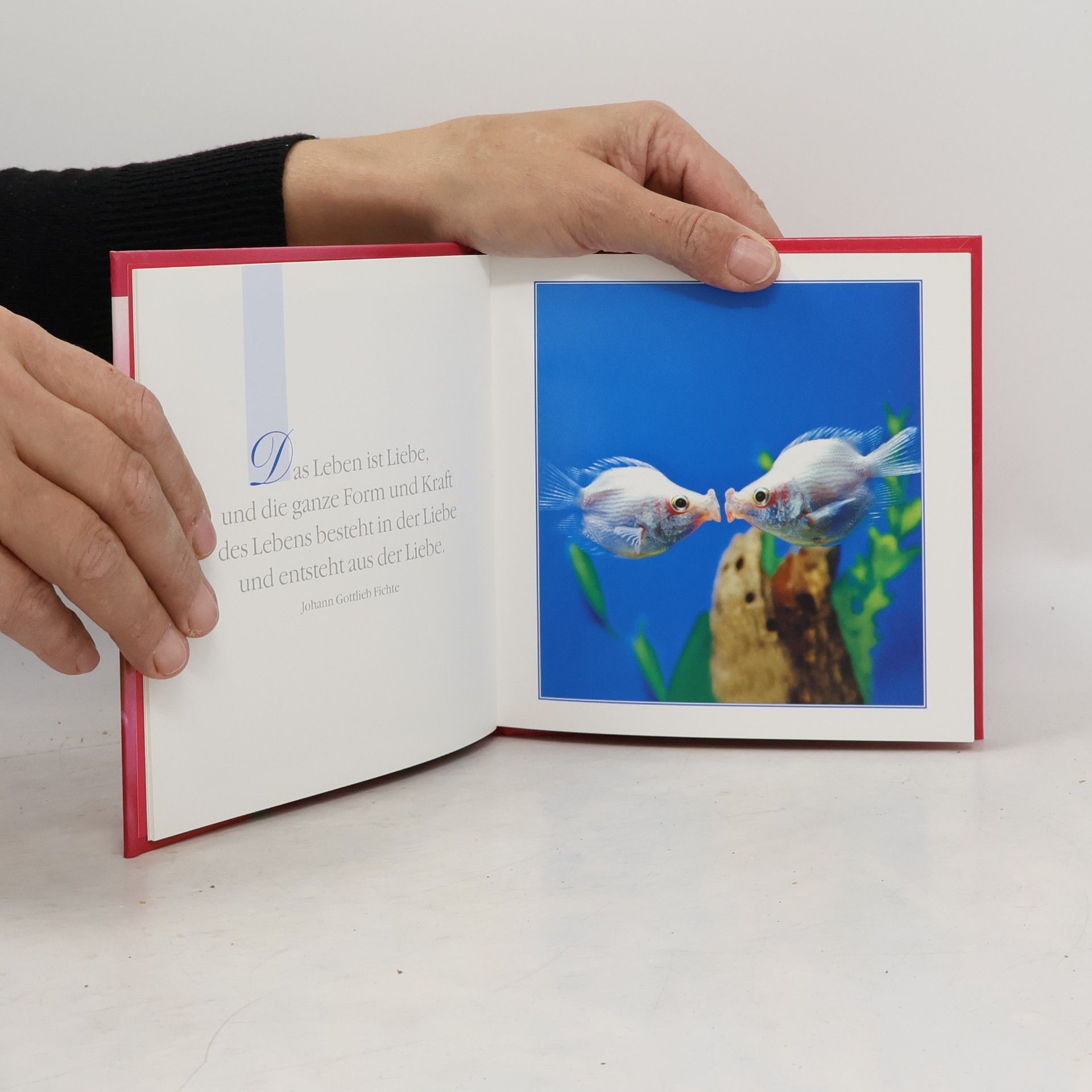 Various authors Lebenslust; Für Literaturfreunde