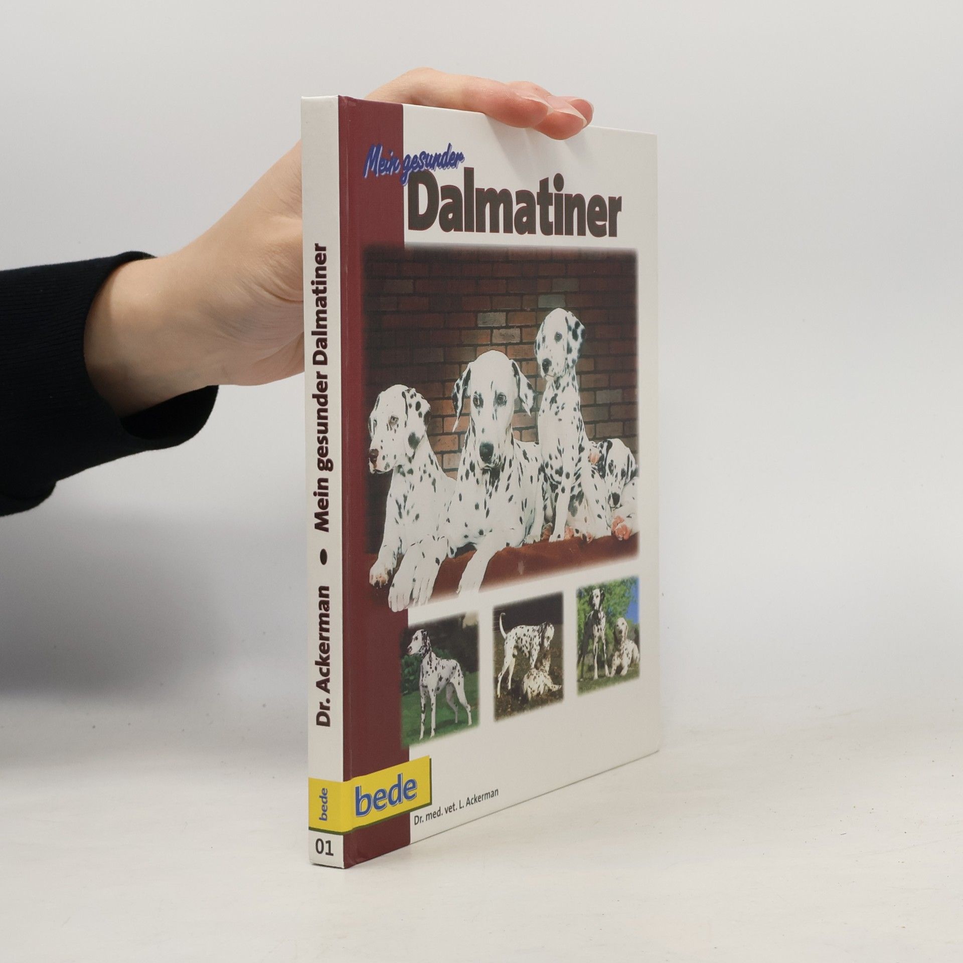 Mein gesunder Dalmatiner