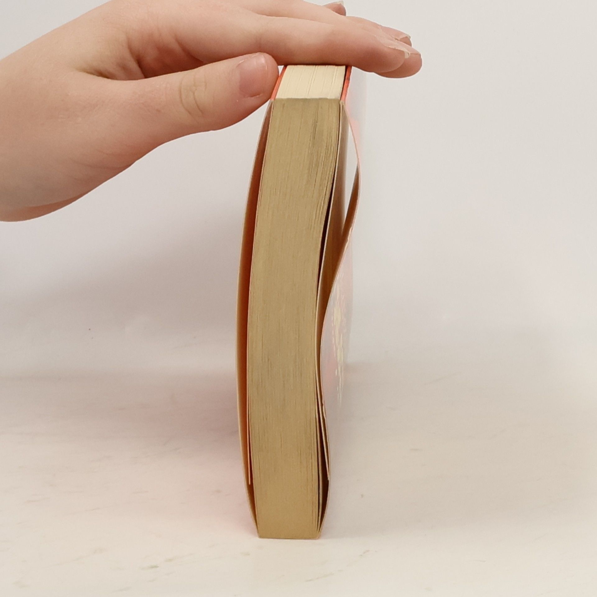 Oskar Lafontaine Angst vor den Freunden