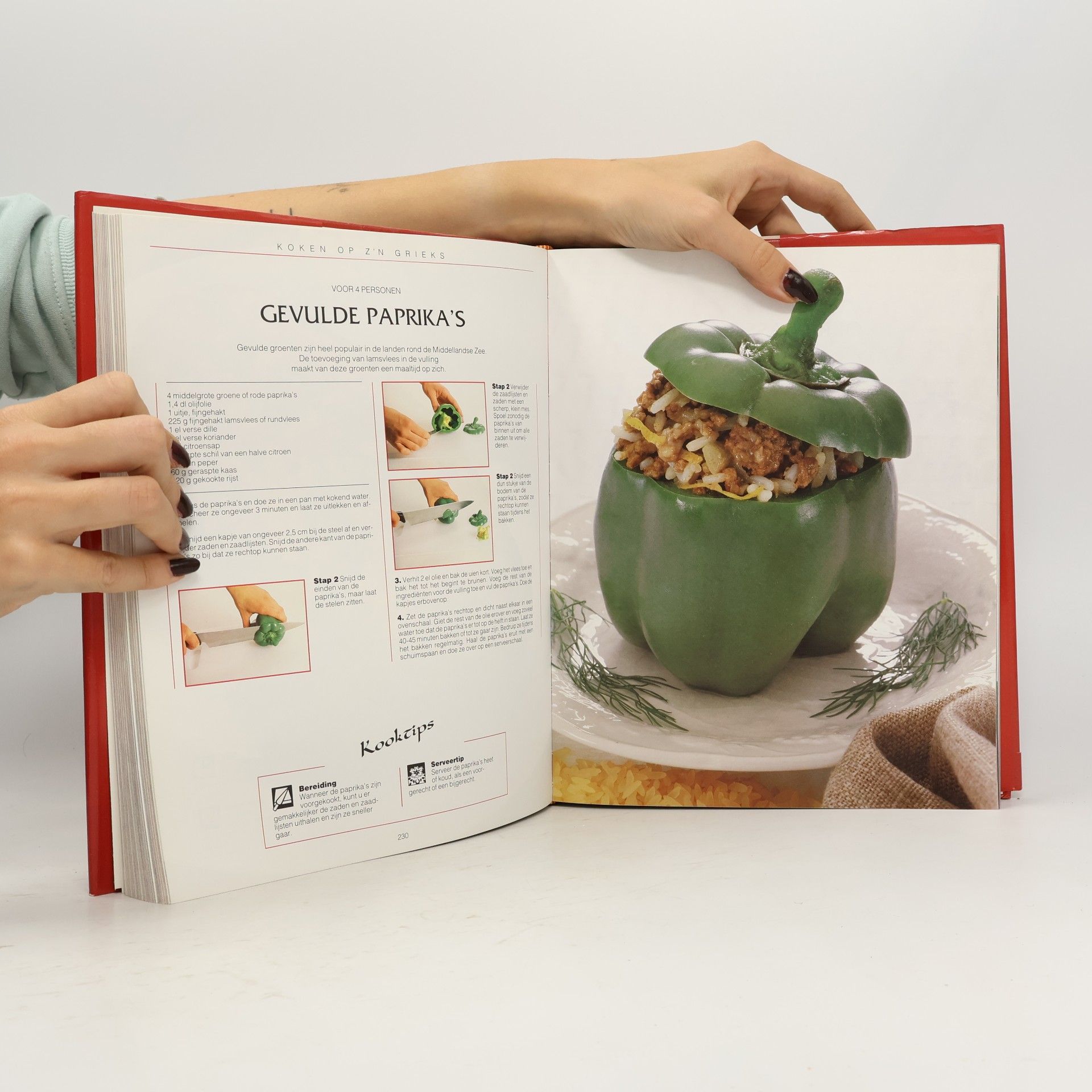 Judith Lynn Ferguson Internationaal koken stap-voor-stap