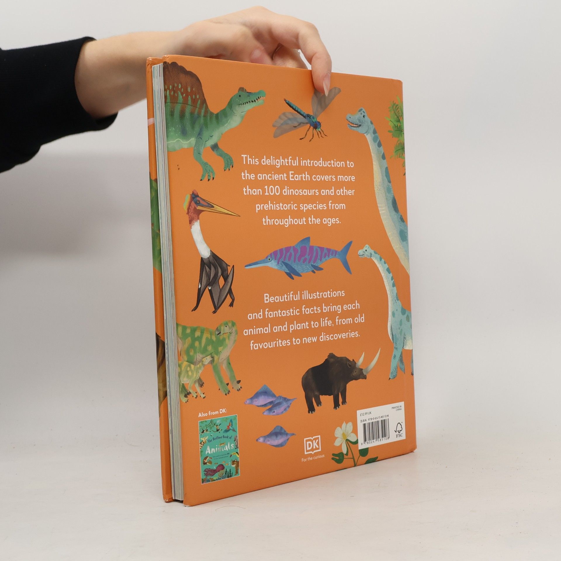 Dean R. Lomax The Bedtime Books: The Bedtime Book of Dinosaurs and Other Prehistoric Life