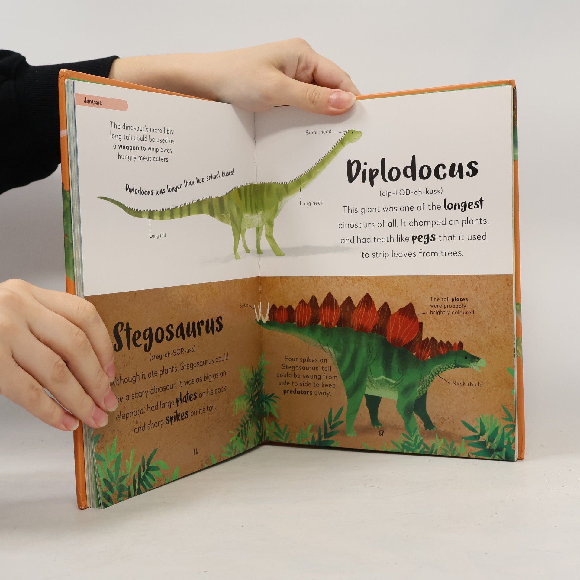 Dean R. Lomax The Bedtime Books: The Bedtime Book of Dinosaurs and Other Prehistoric Life