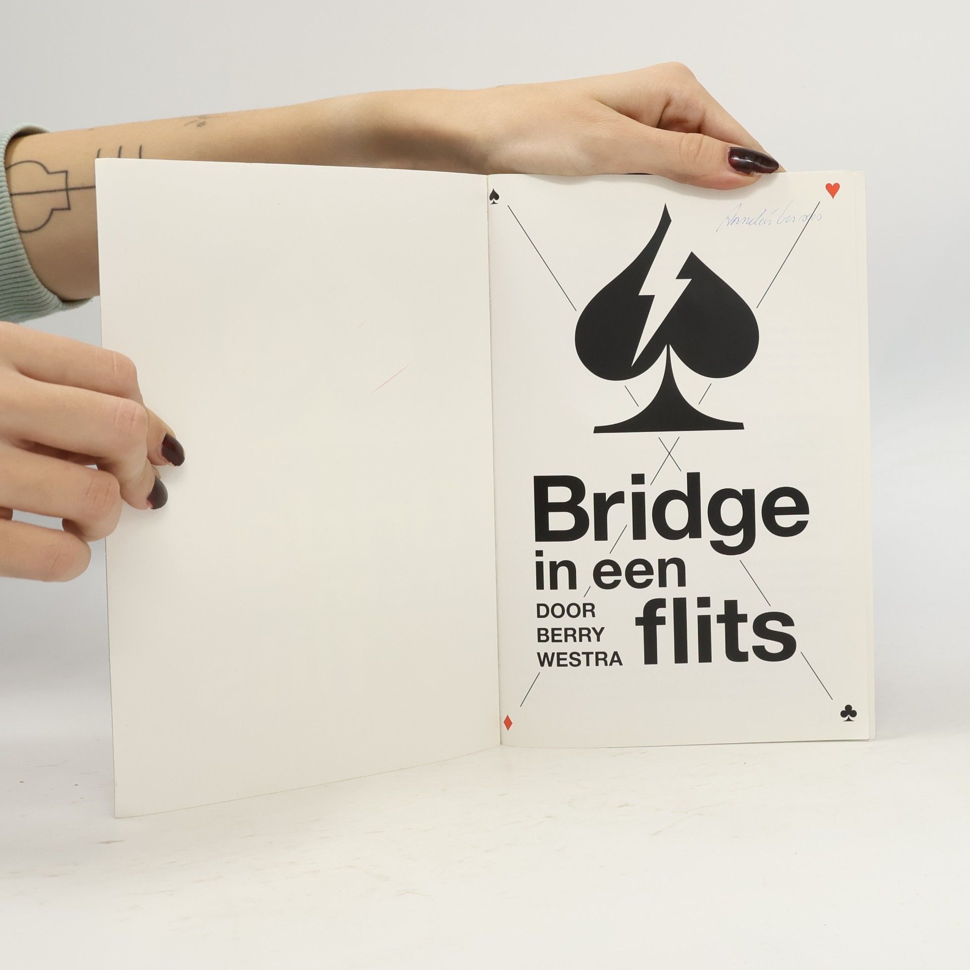 Berry Westra Bridge in een Flits / druk 1
