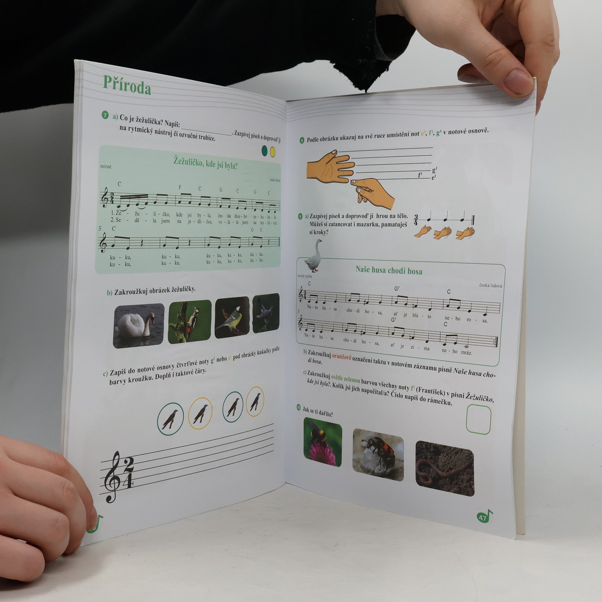 Autorenkollektiv Hravá hudební výchova 2 : pro 2. ročník ZŠ