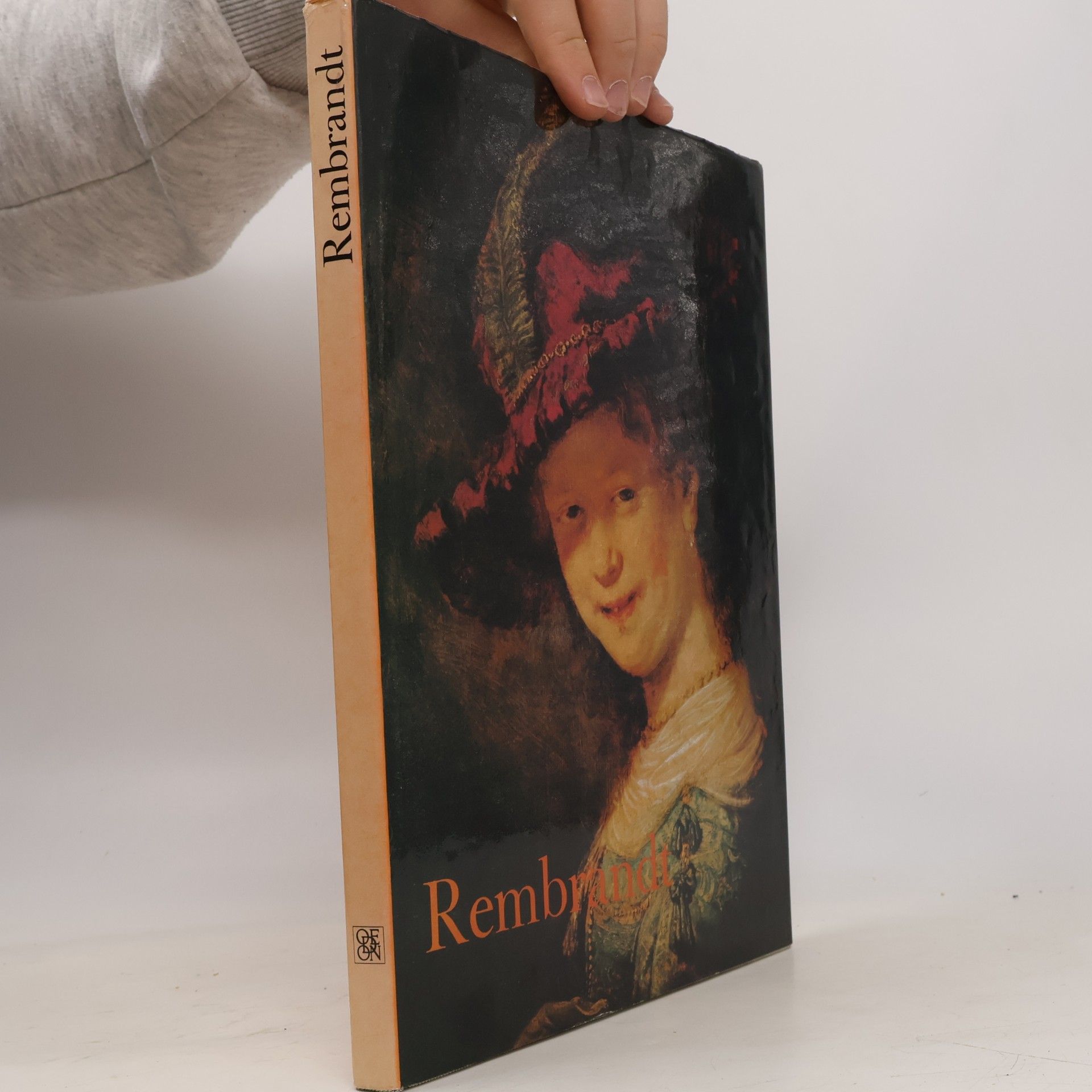 Giovanni Arpino Rembrandt