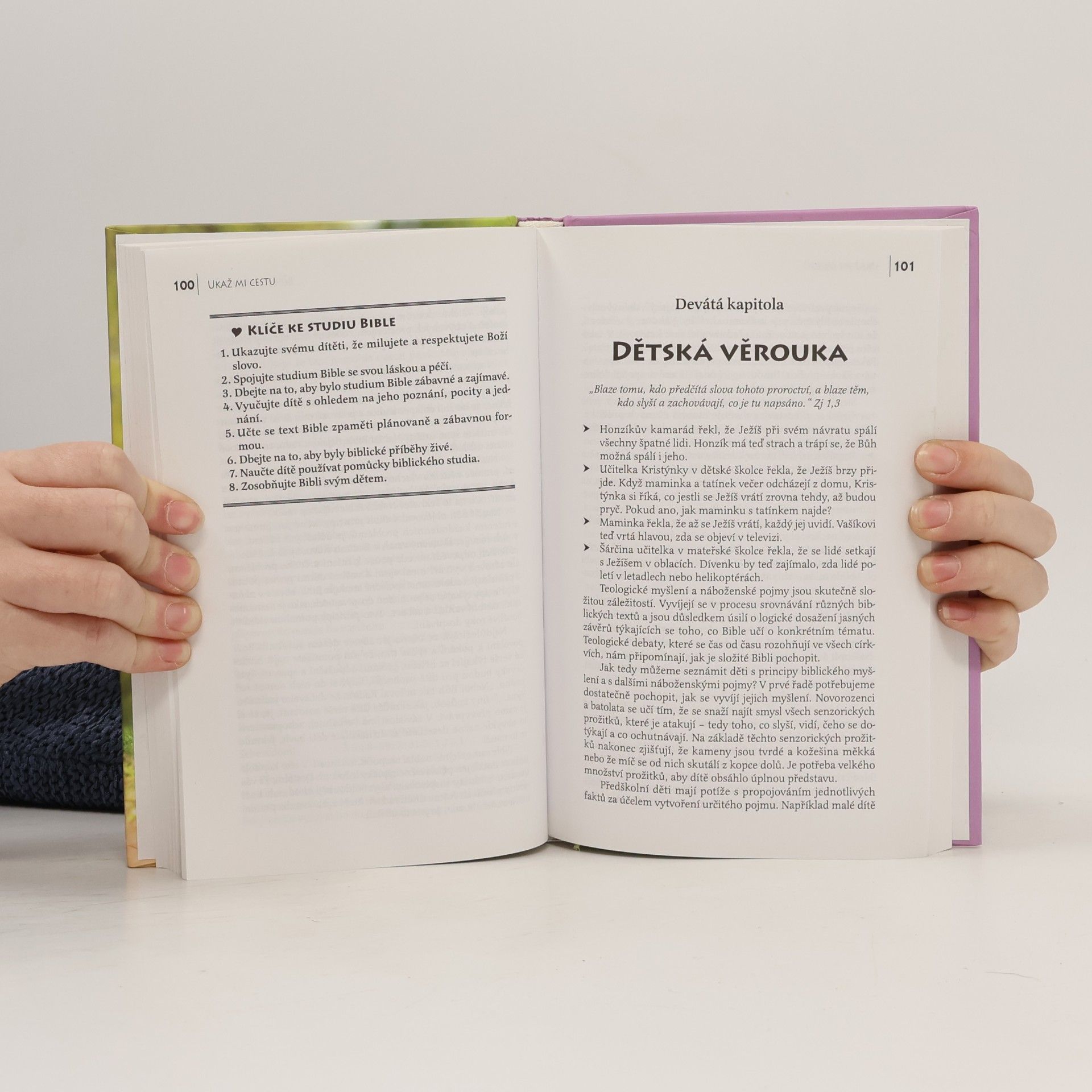 Donna Habenicht Ukaž mi cestu. Jak pomoci svým dětem najít vztah k Bohu