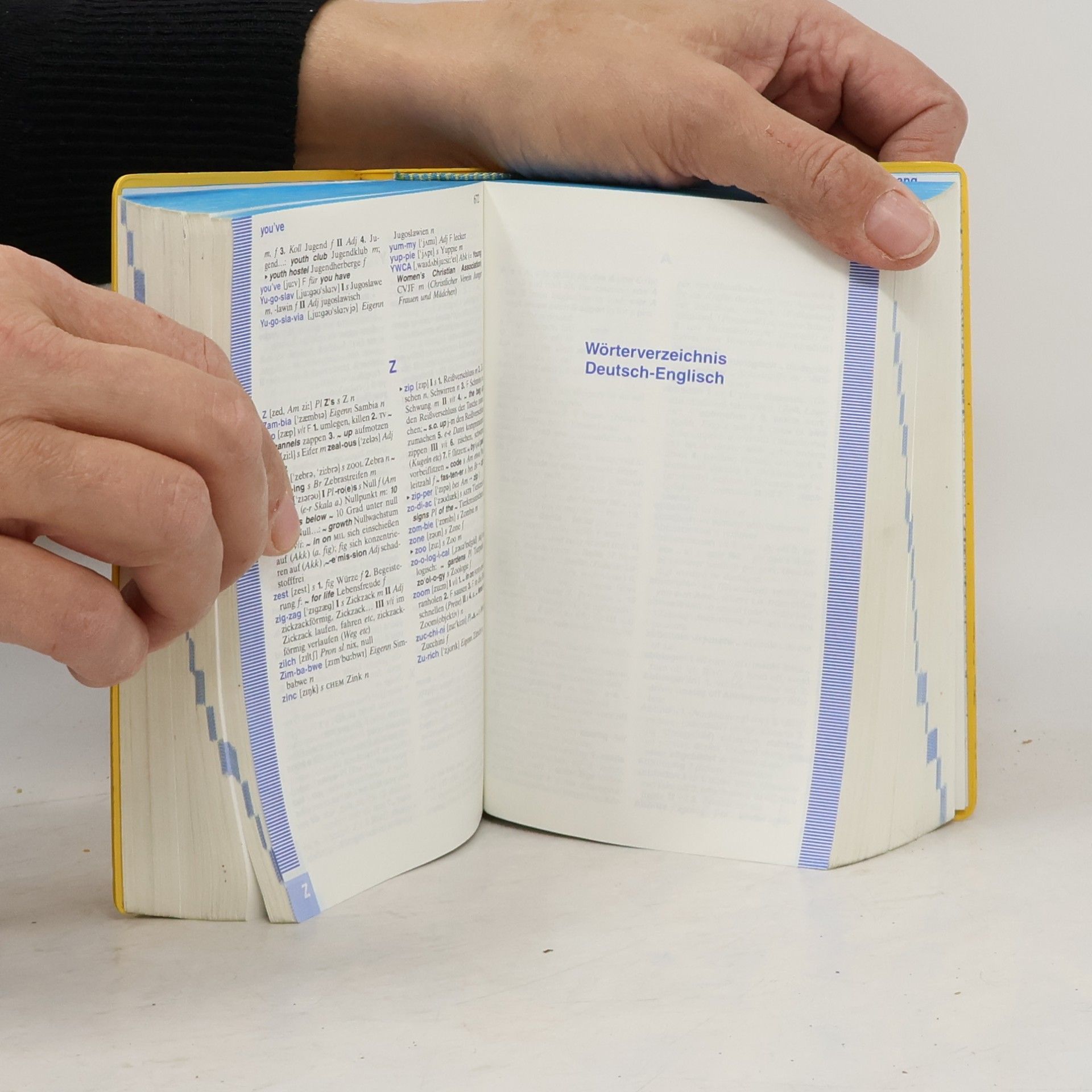 Helmut Willmann Langenscheidts Taschenwörterbuch Englisch