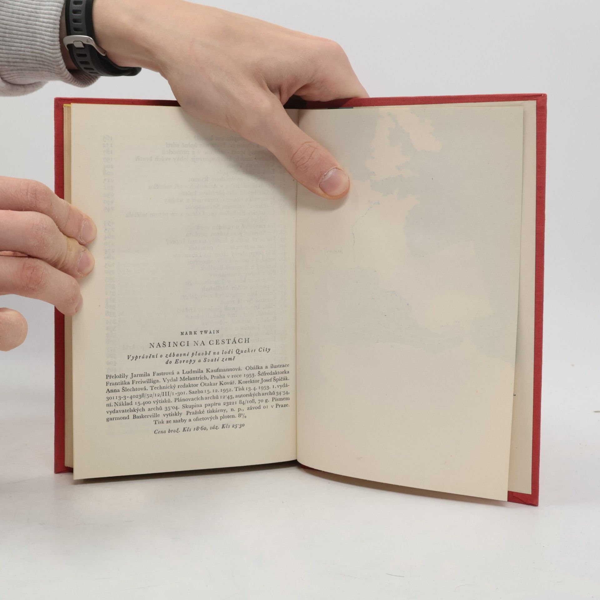 Mark Twain Našinci na cestách