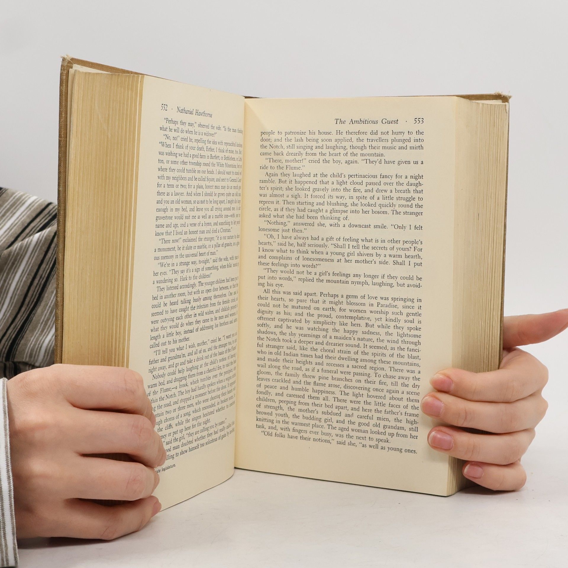 kolektiv The American Tradition in Literature 1