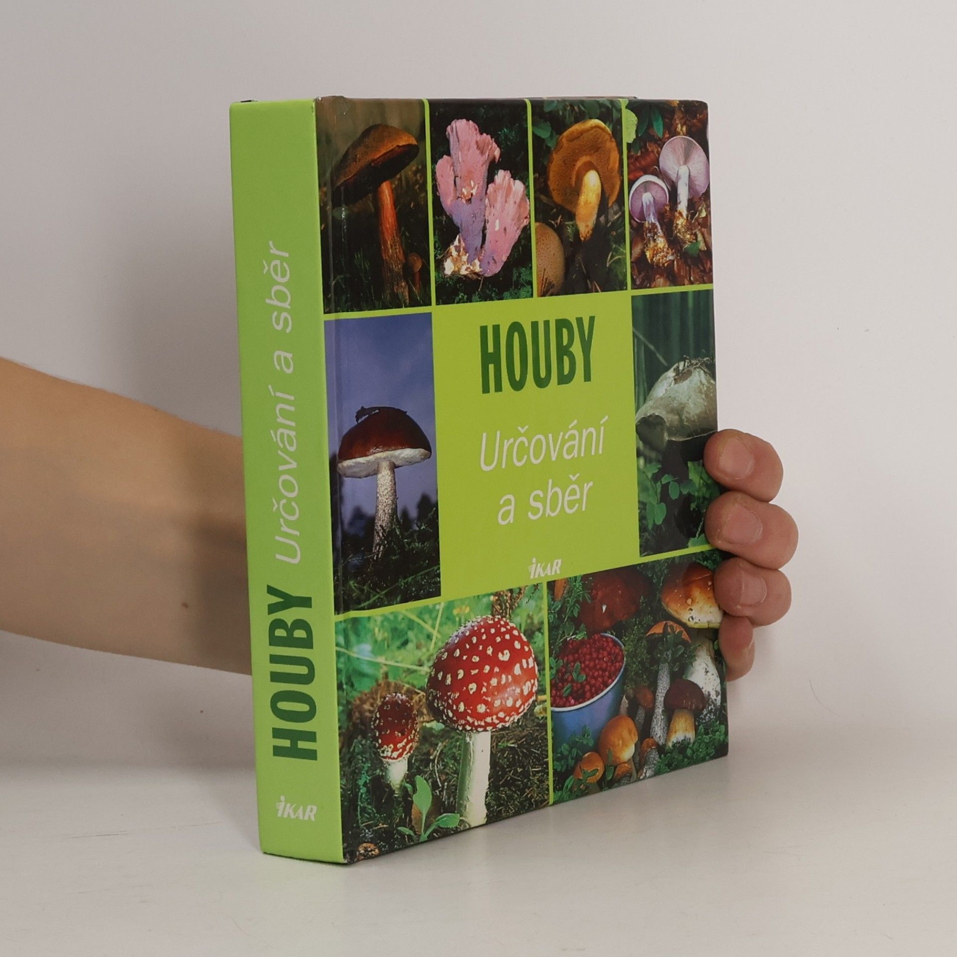 Houby : určování a sběr
