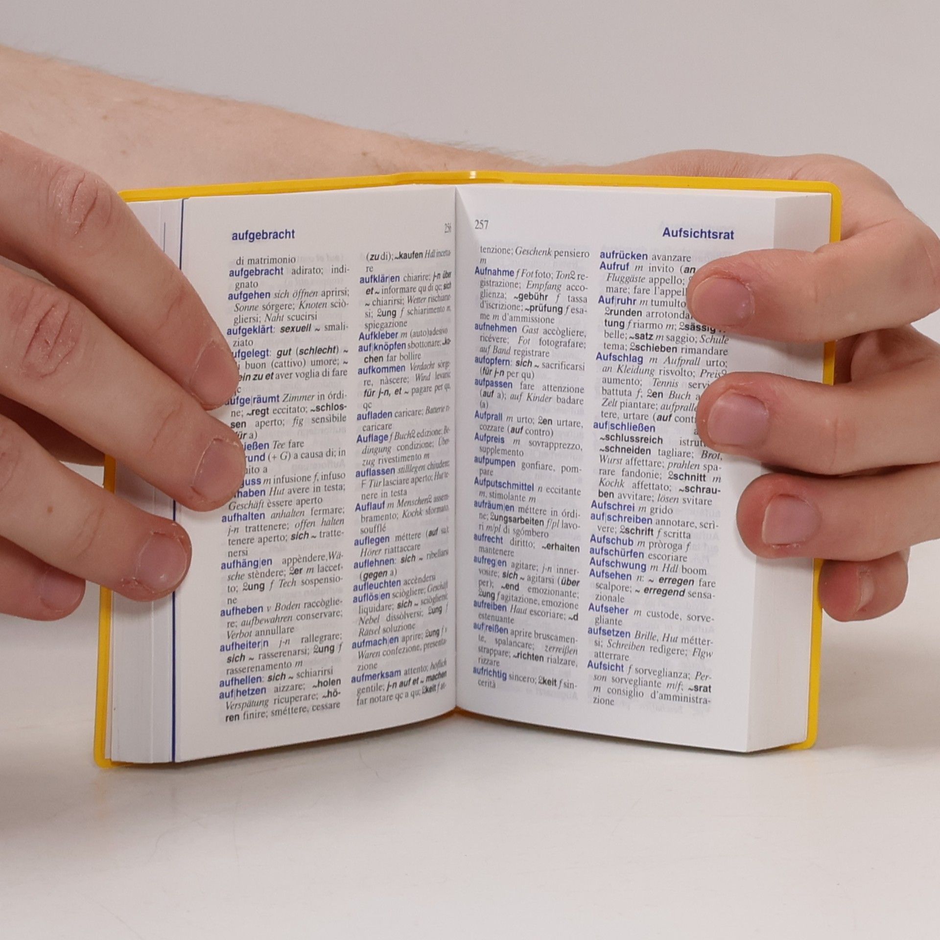 Sabine Corso Langenscheidts Universal-Wörterbuch Italienisch