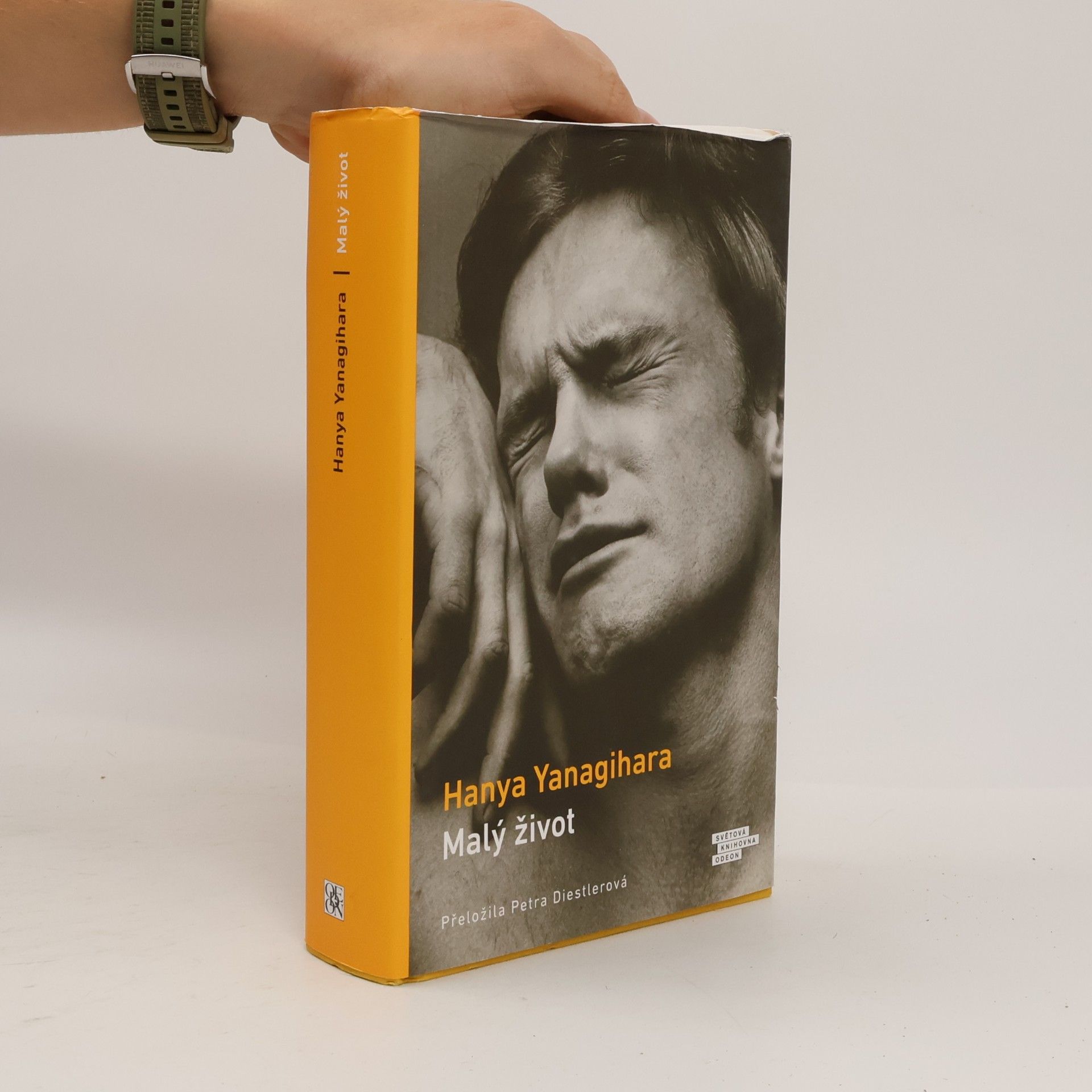 Hanya Yanagihara Malý život