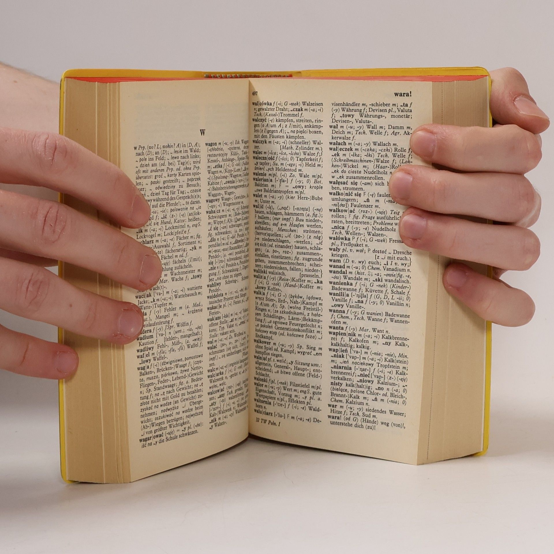 Stanisřaw Walewski Langenscheidts Taschenwörterbuch Polnisch