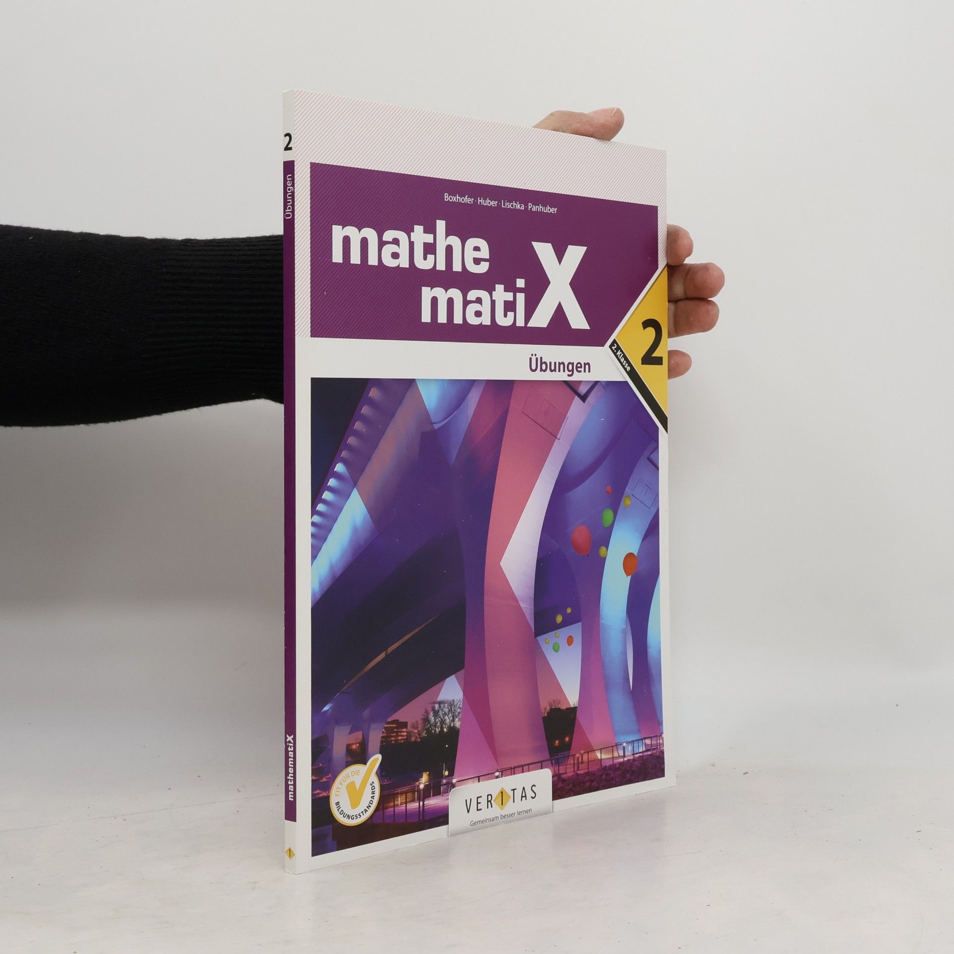 MathematiX 2