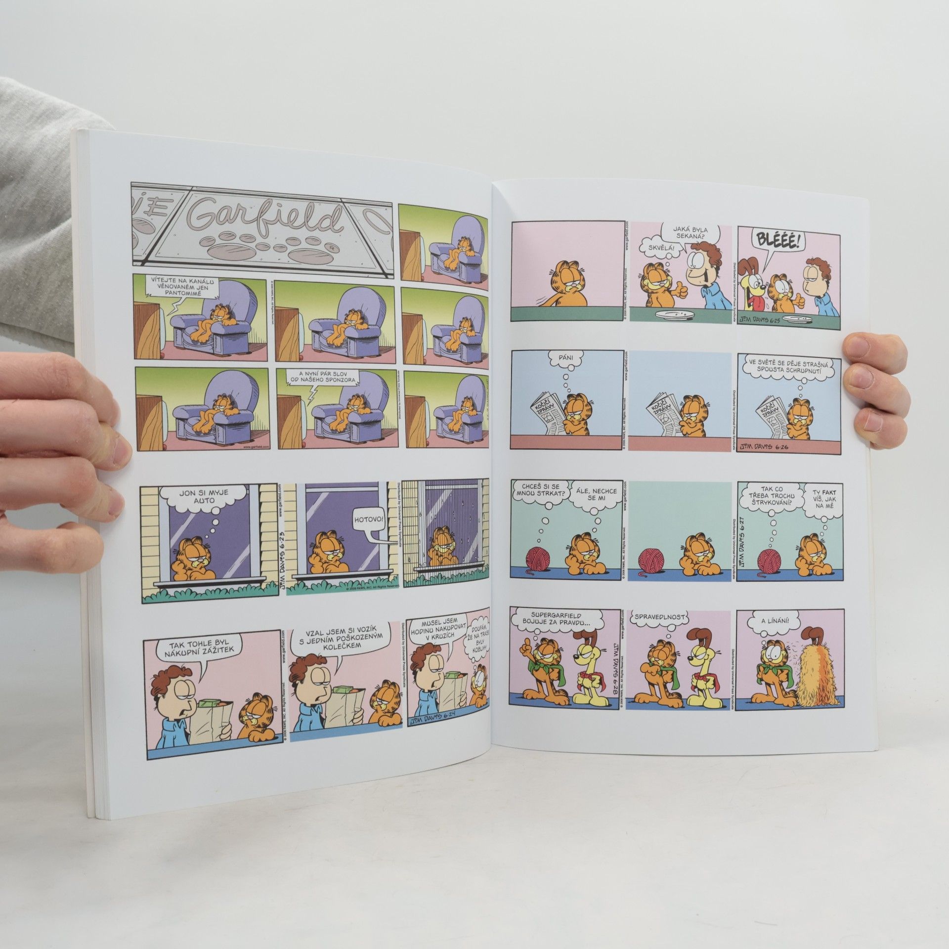 Jim Davis Garfield - Král zvěřiny