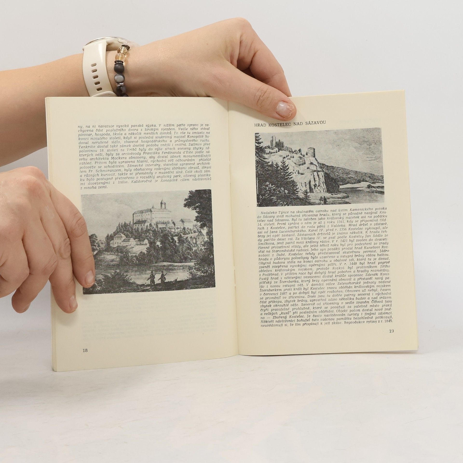 Kolektiv autorů Historické památky okresu Benešov
