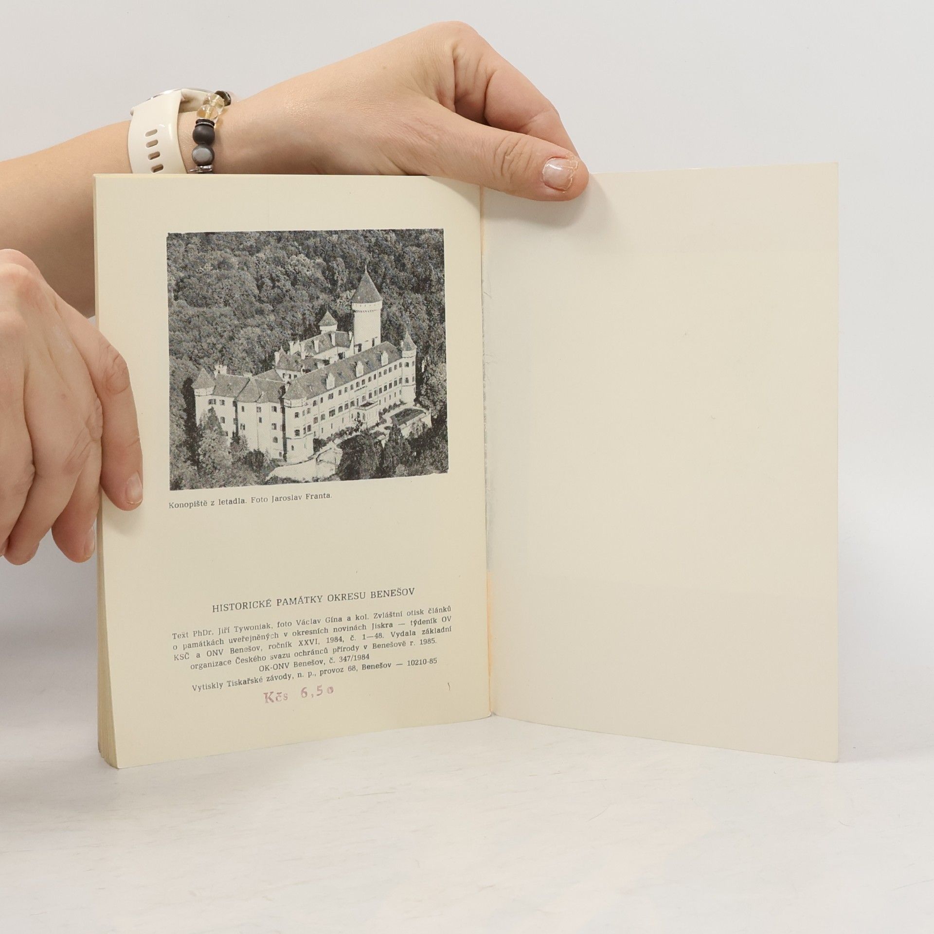 Kolektiv autorů Historické památky okresu Benešov
