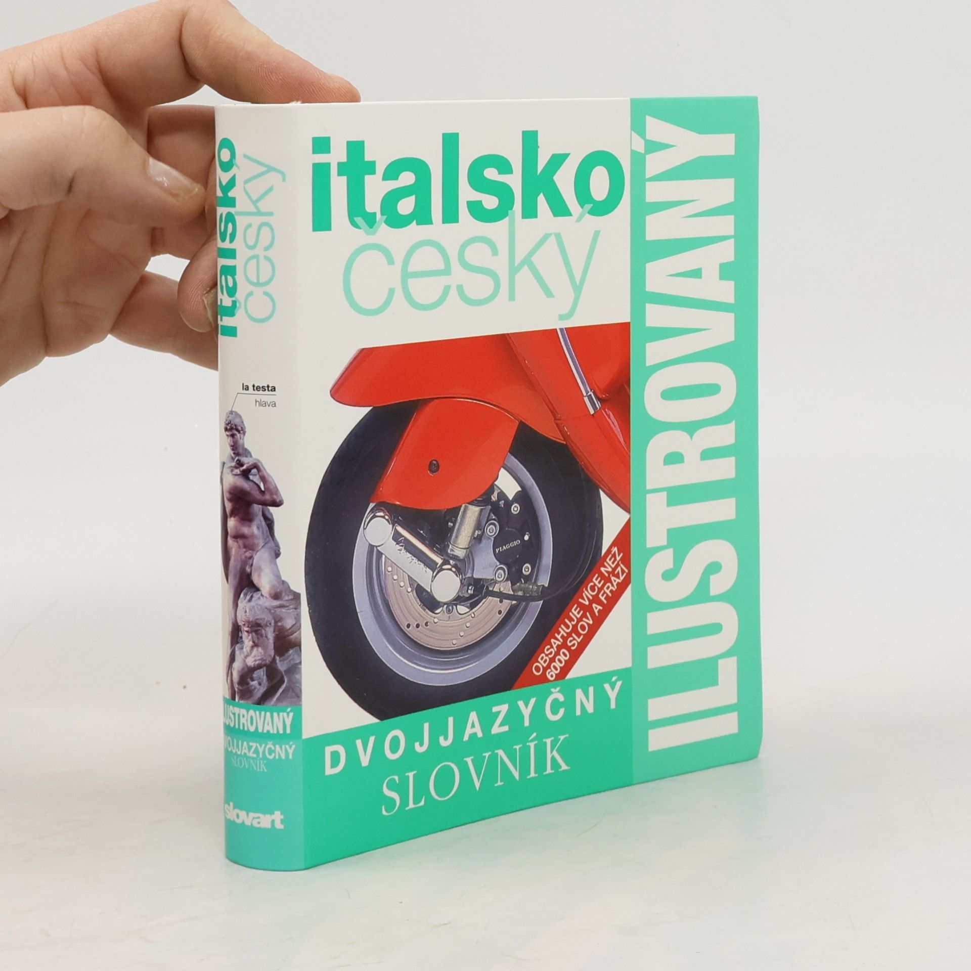 Autorenkollektiv Italskočeský dvojjazyčný ilustrovaný slovník