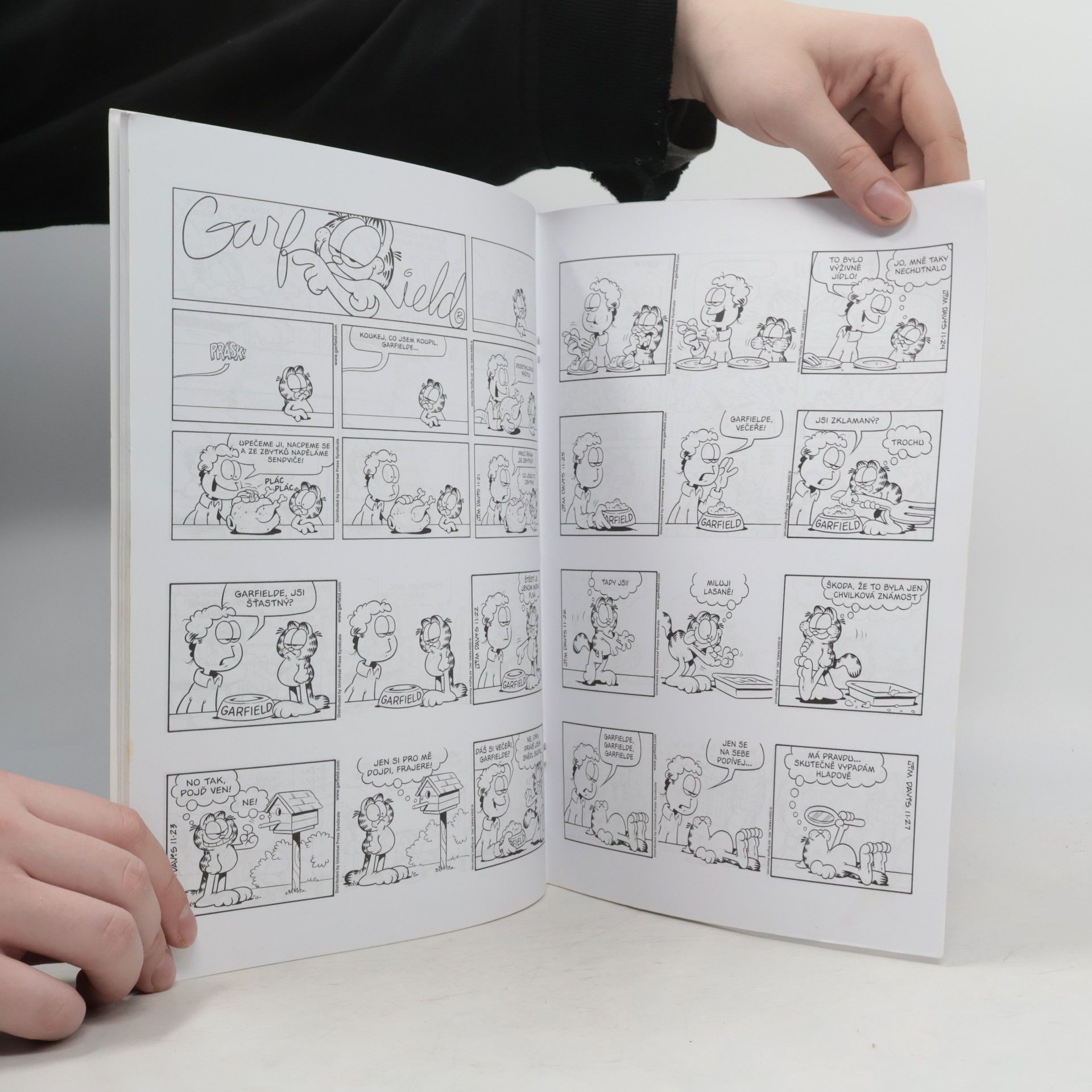 Jim Davis Garfield velevážený