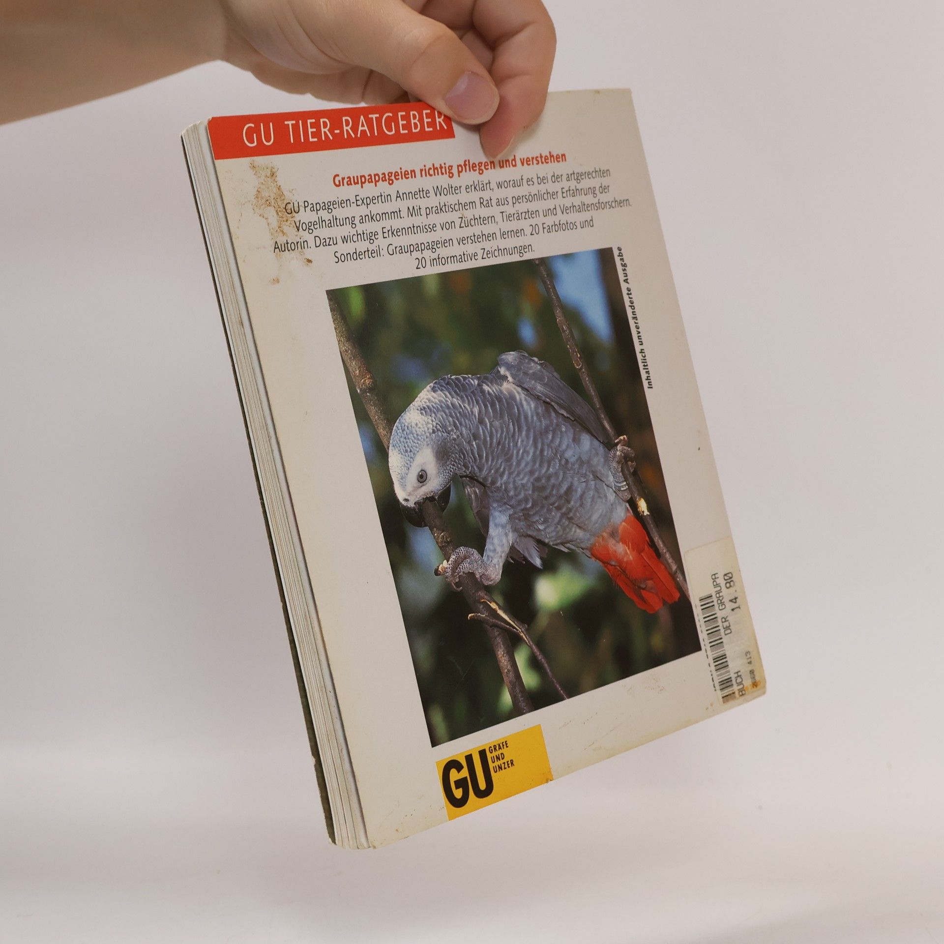 Annette Wolter Der Graupapagei