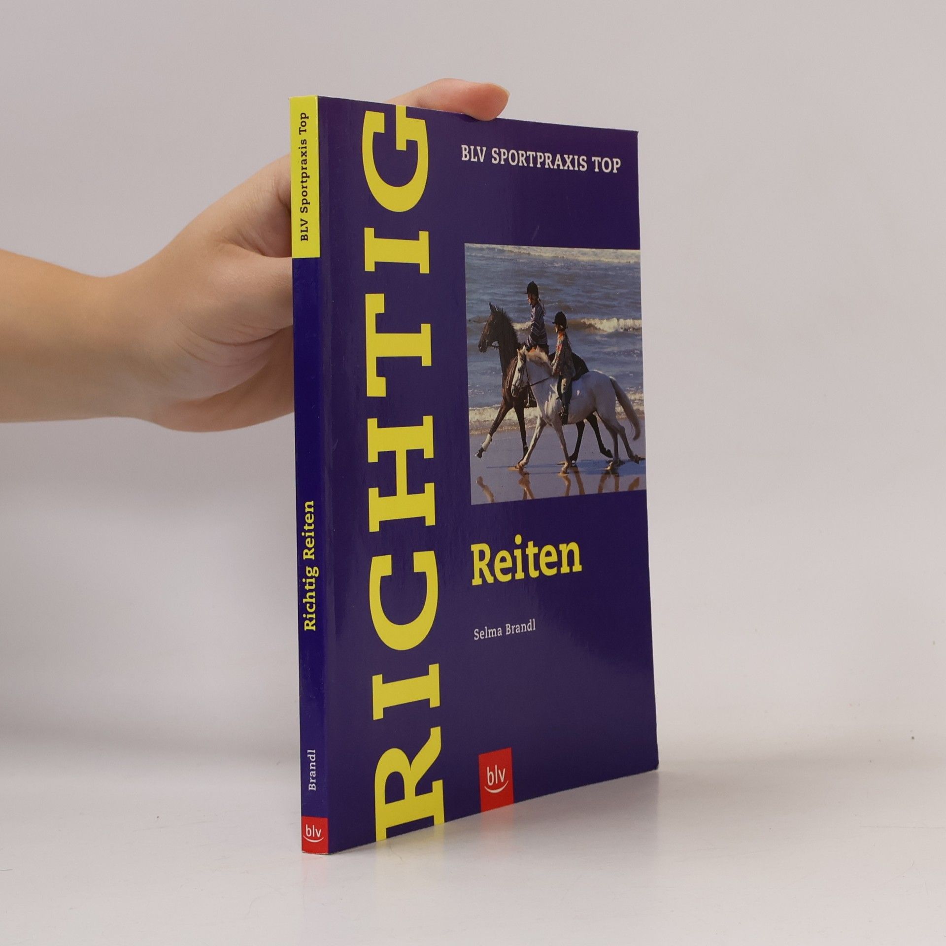 Richtig reiten