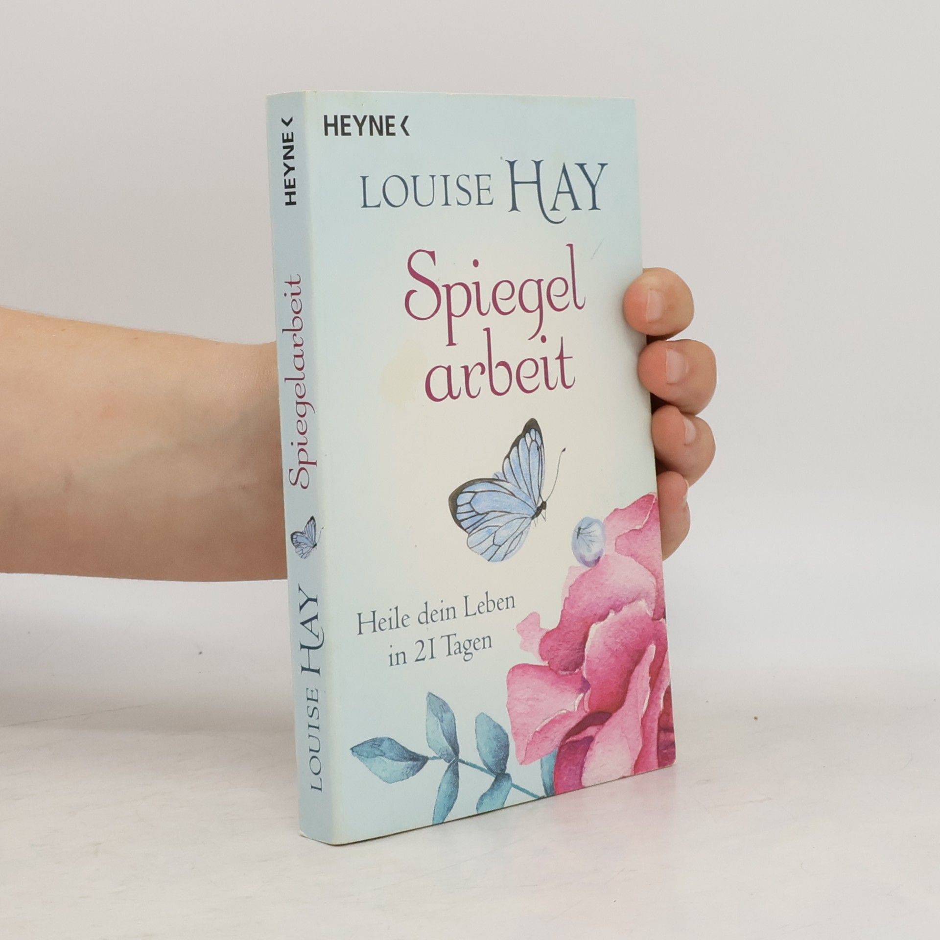 Louise Lynn Hay Spiegelarbeit