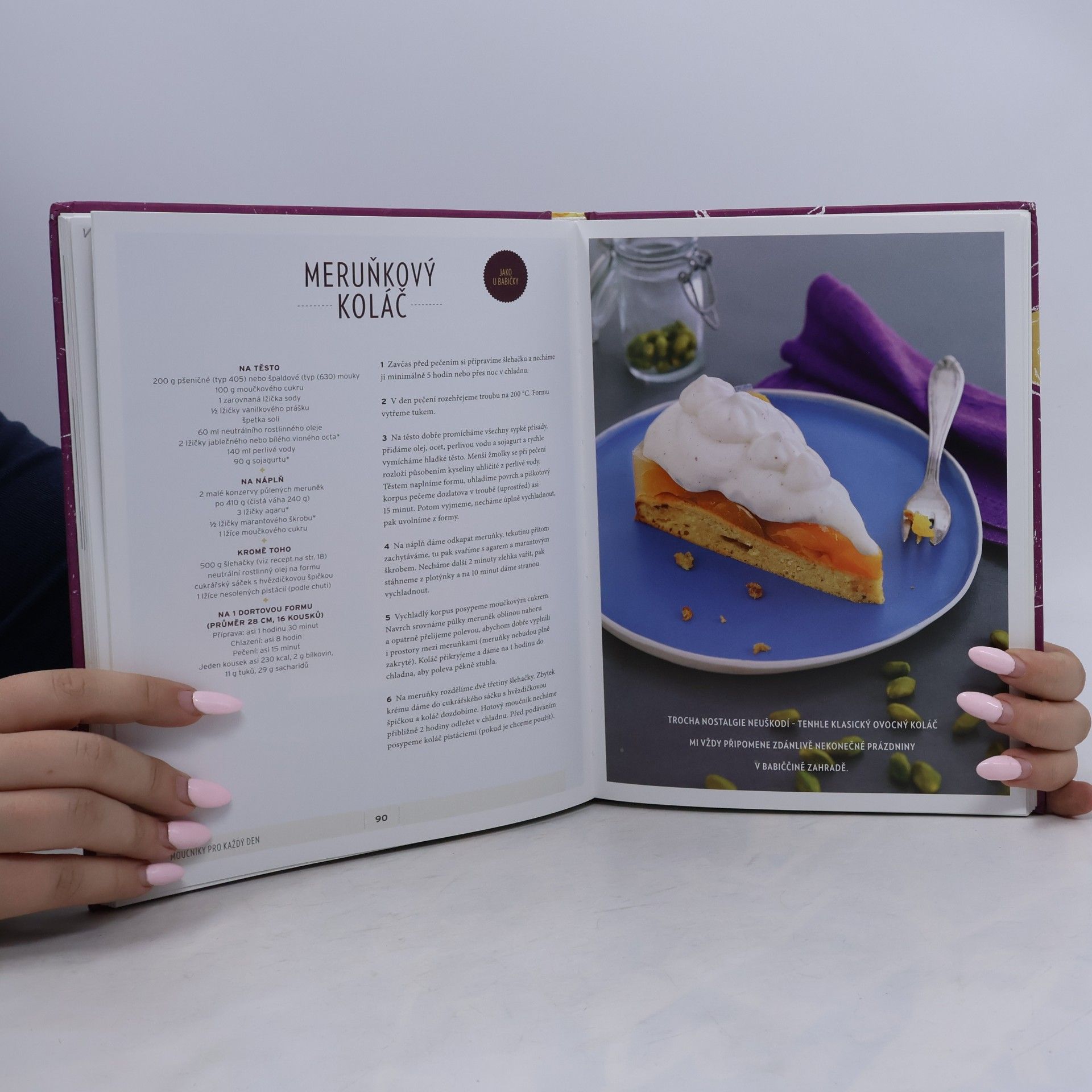 Nicole Just Pečení pro vegany. Sladké, slané a 100% veganské