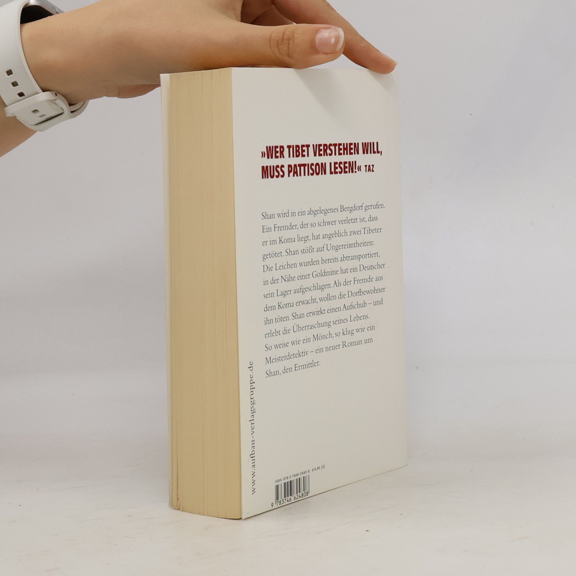Eliot Pattison Der Berg der toten Tibeter