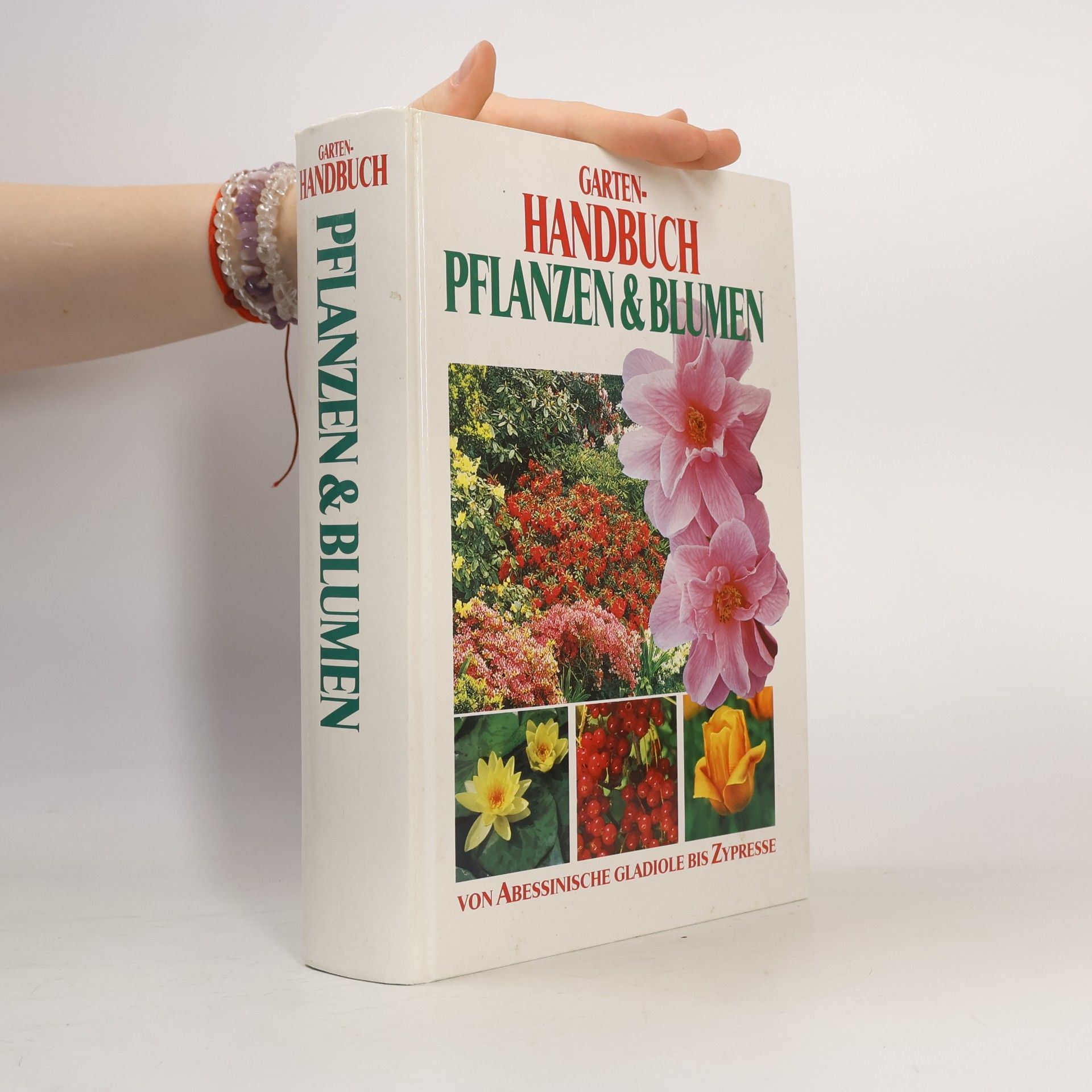 Autorenkollektiv Garten-Handbuch Pflanzen & Blumen