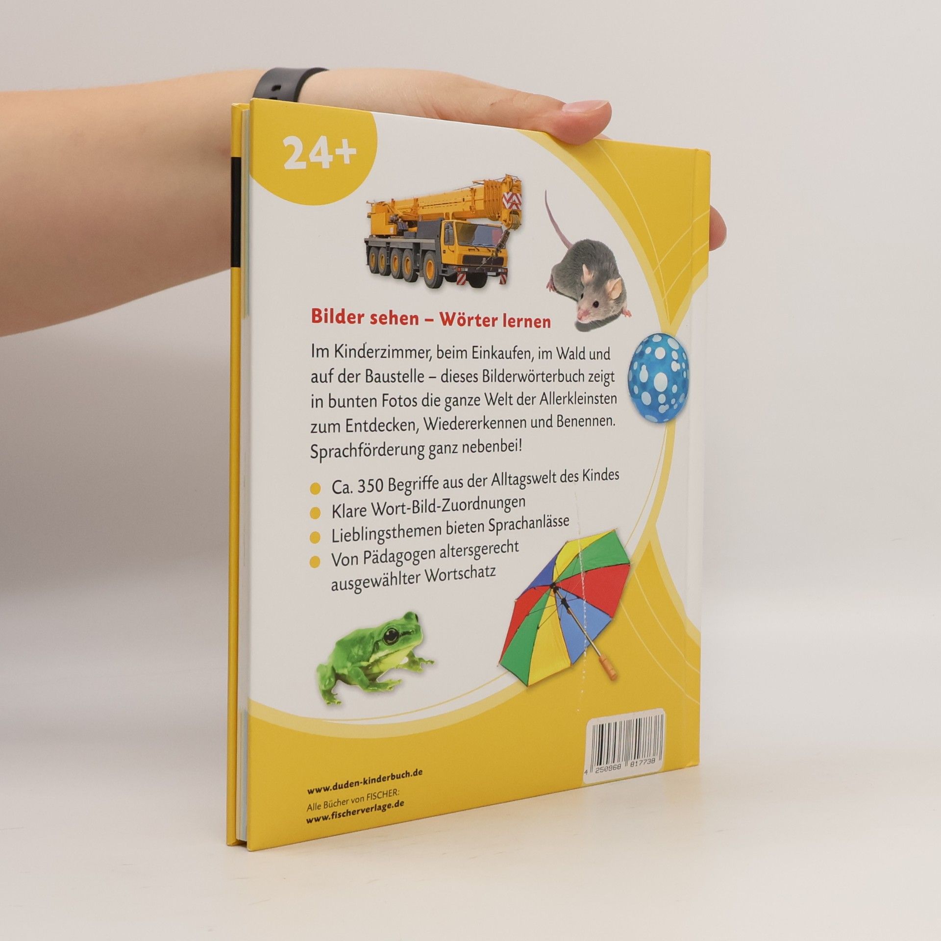 Mein buntes Bilderwörterbuch