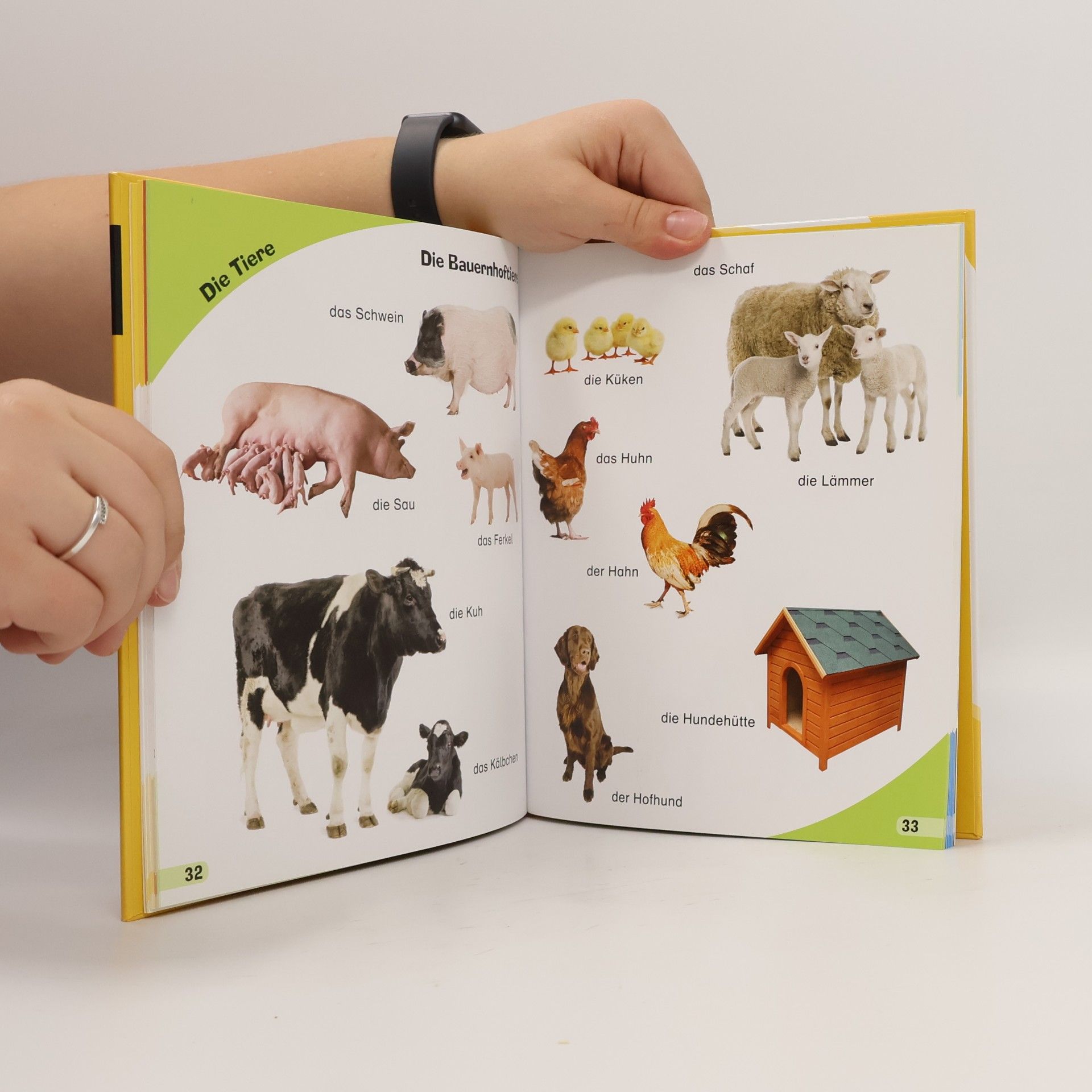 Mein buntes Bilderwörterbuch