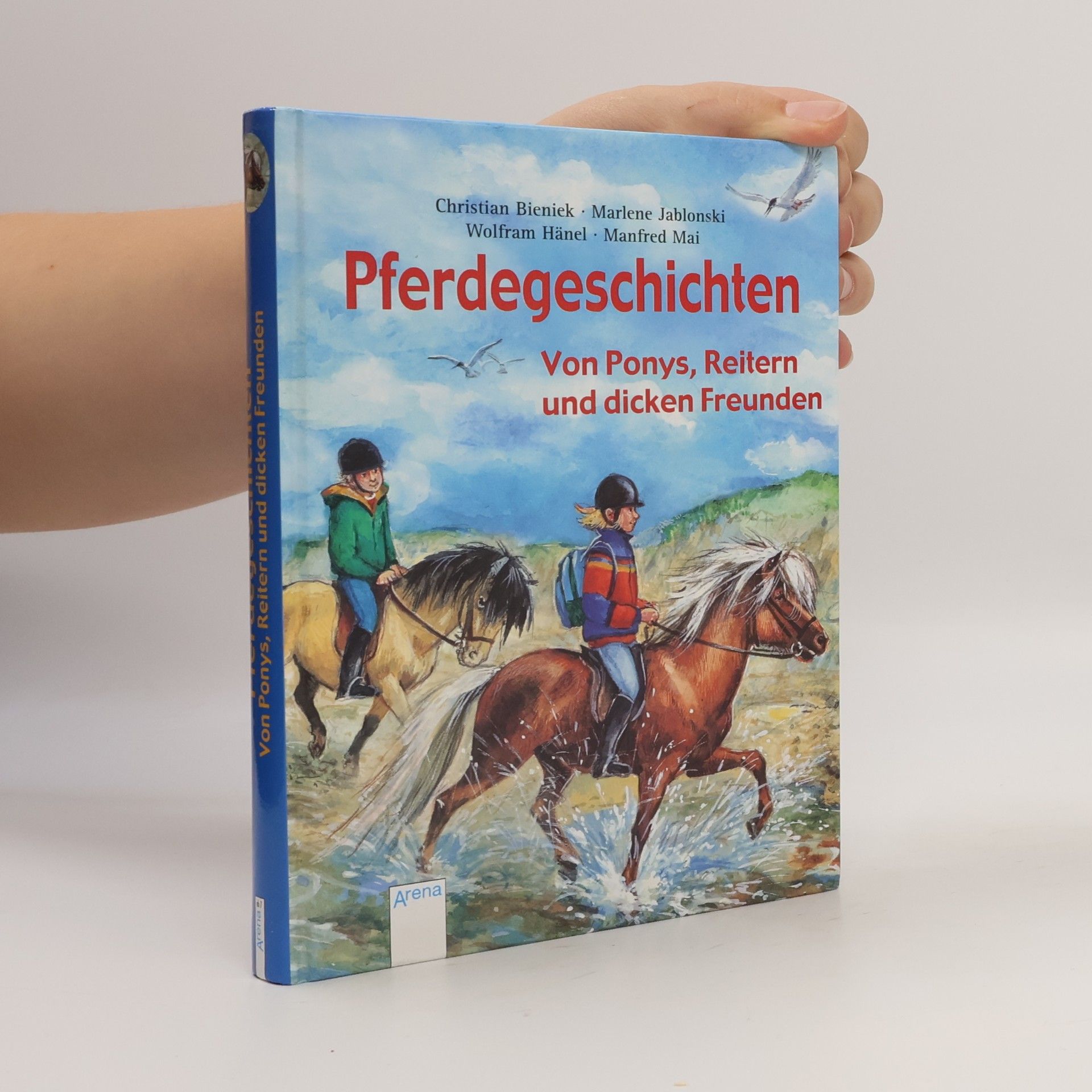 Pferdegeschichten von Ponys, Reitern und dicken Freunden