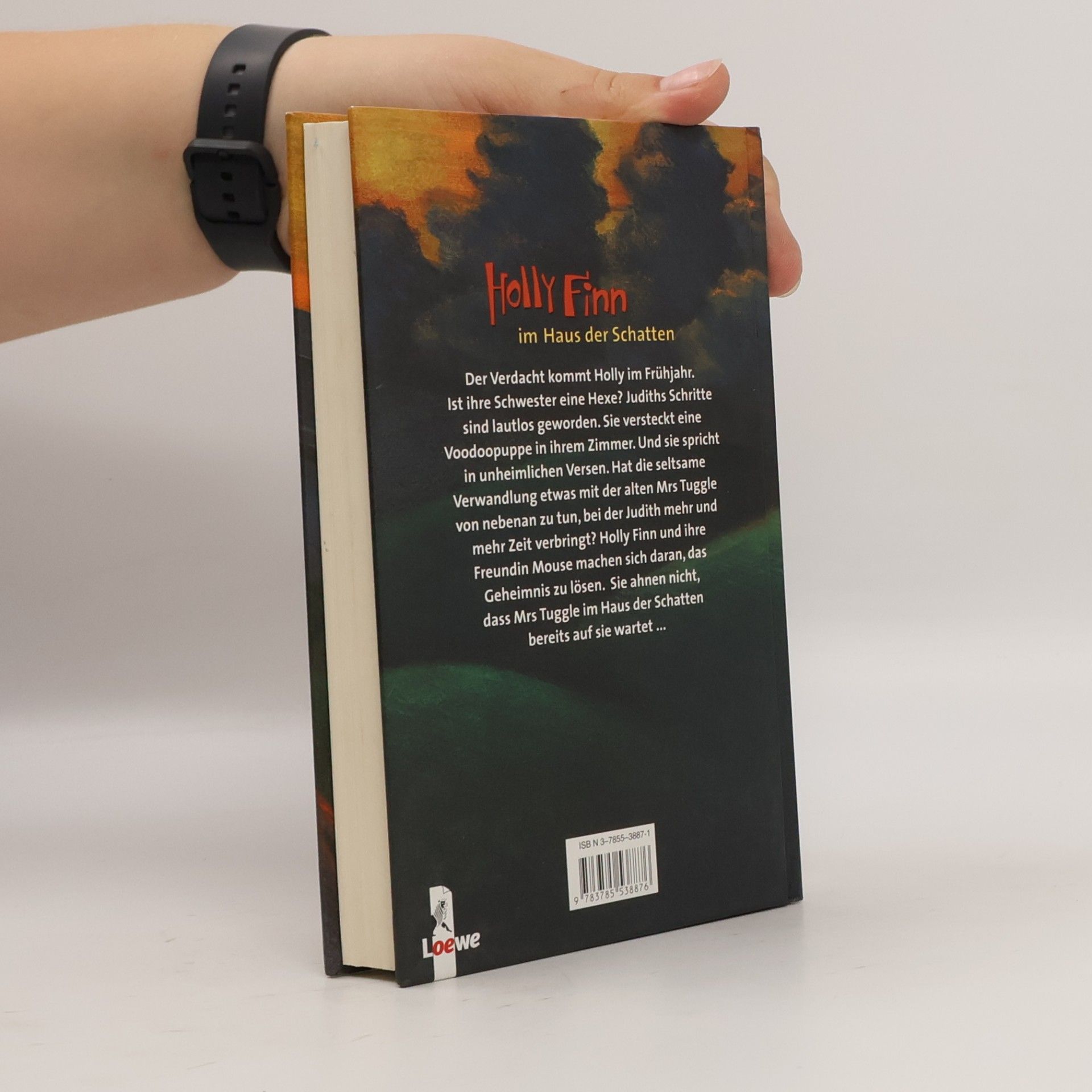 Phyllis Reynolds Naylor Holly Finn im Haus der Schatten. Aus d. Amerikan. v. Anne Braun