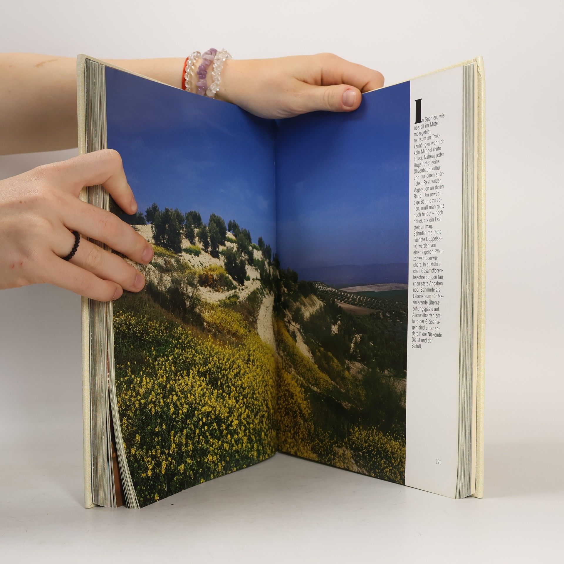 Autorenkollektiv Natur-schönheiten im Verborgenen