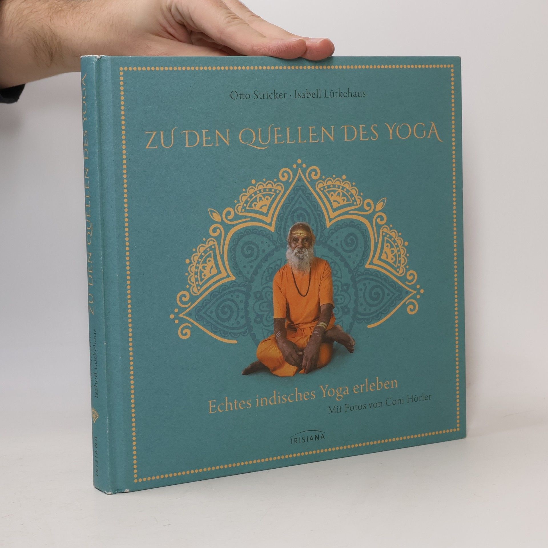 Harald Stricker Zu den Quellen des Yoga
