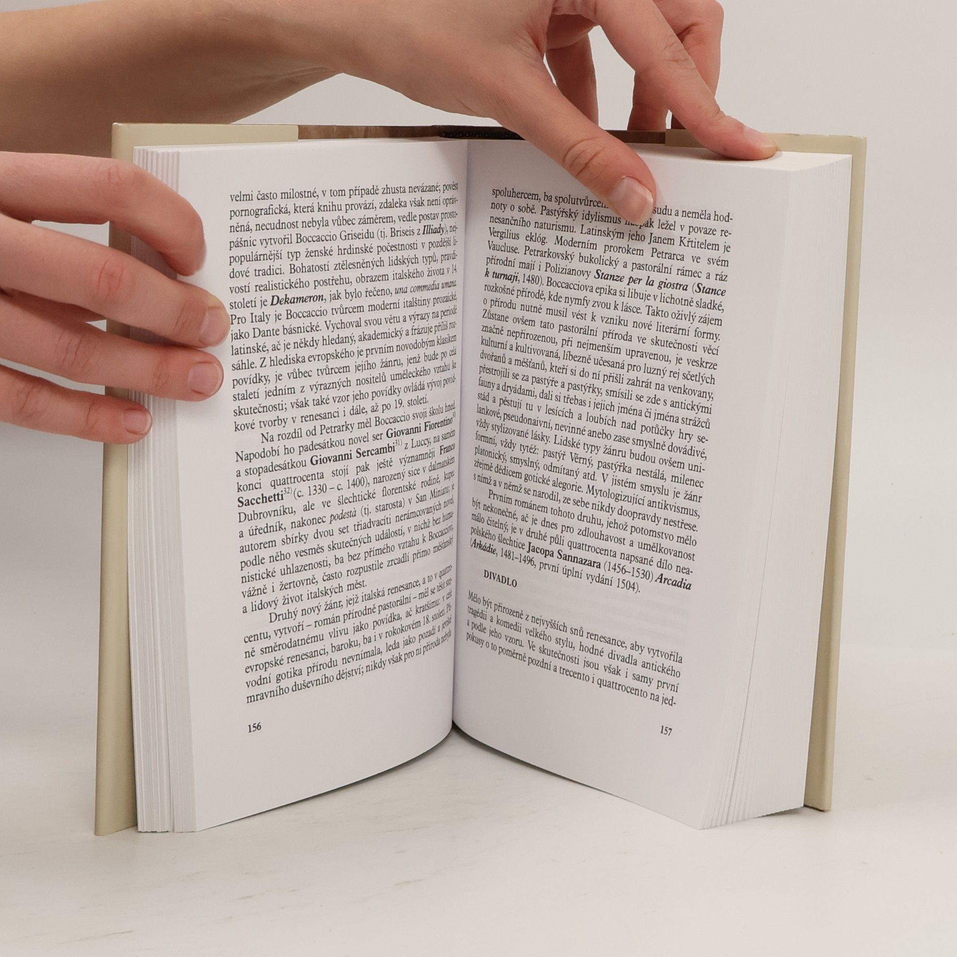Václav Černý Soustavný přehled obecných dějin literatury naší vzdělanosti. 2, Podzim středověku a renesance