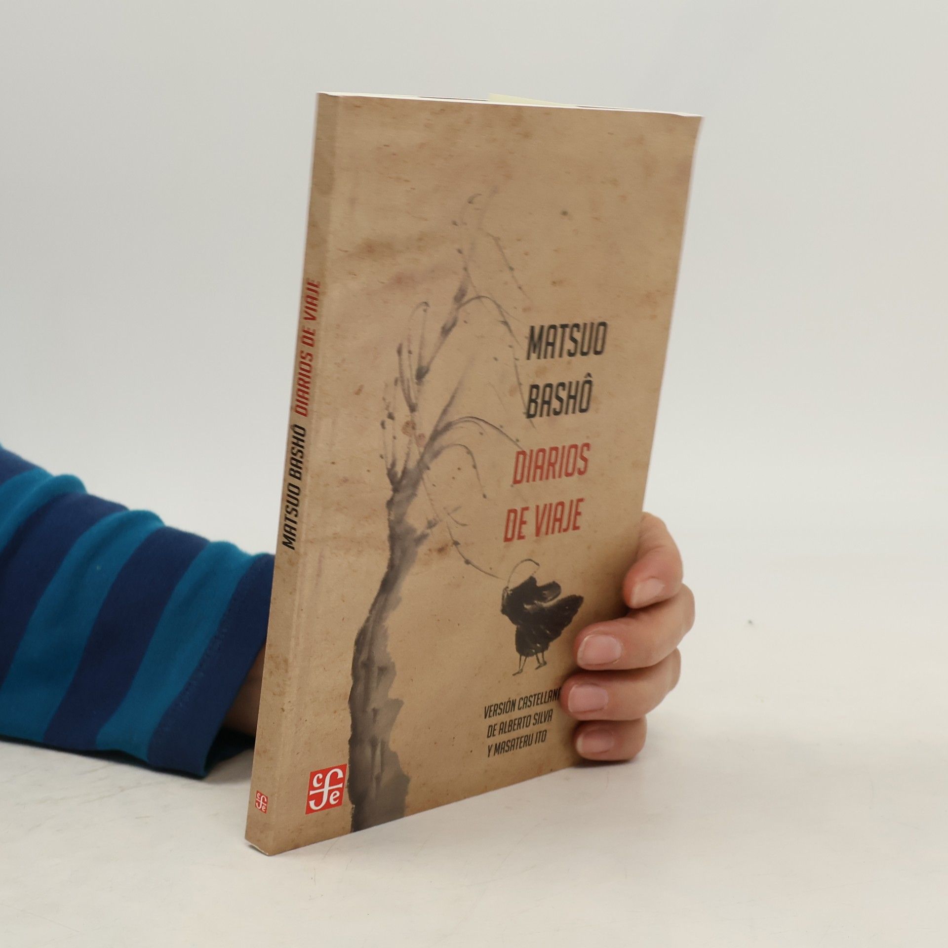 Masateru Ito Diarios de viaje